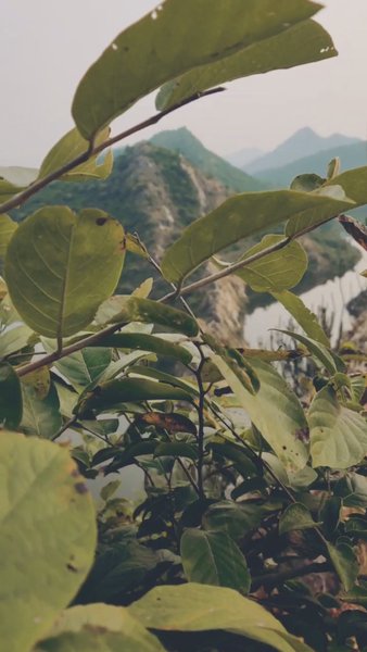 Photo of The unseen Rajasthan