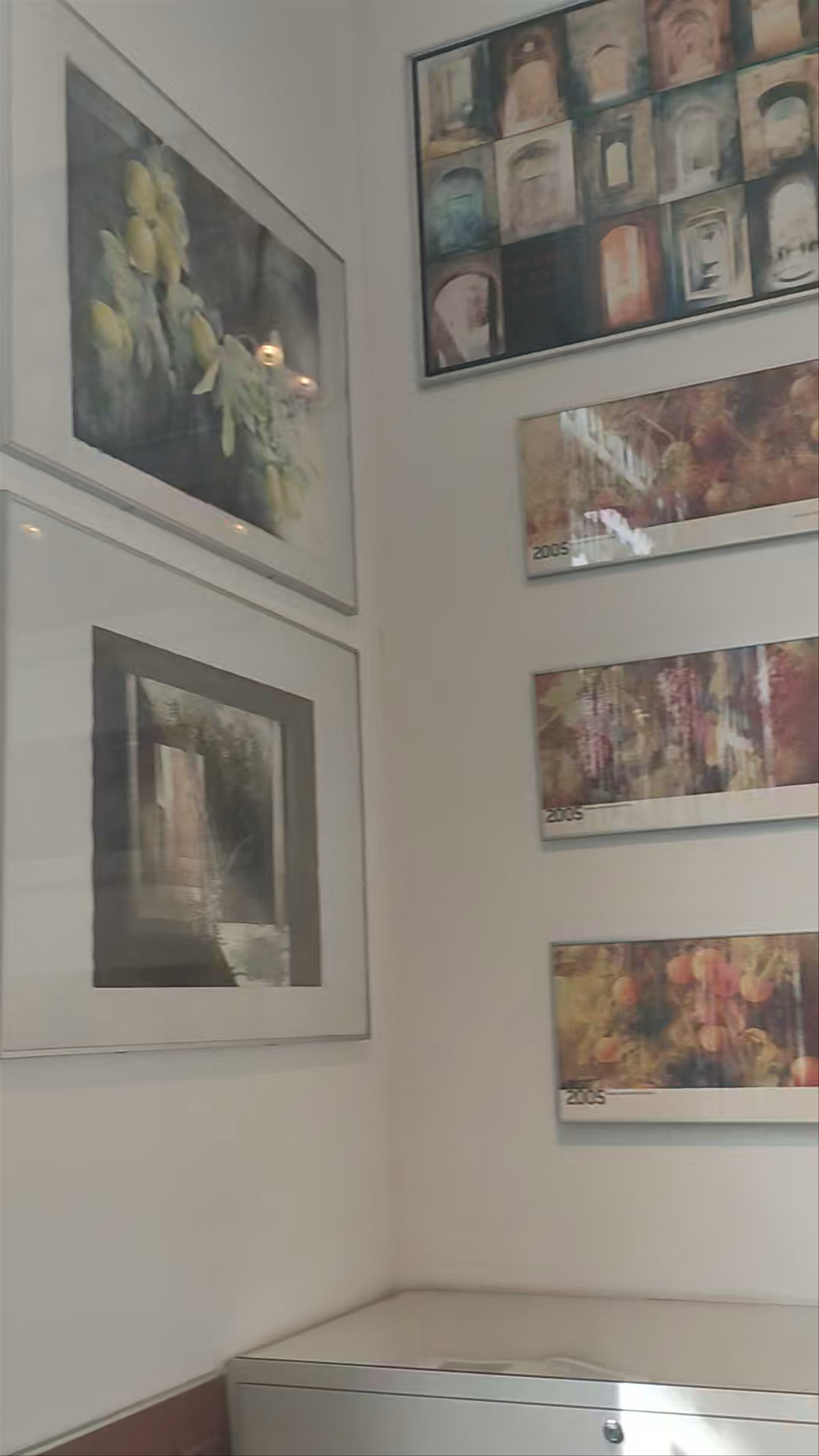 Fundación Pedro Cano