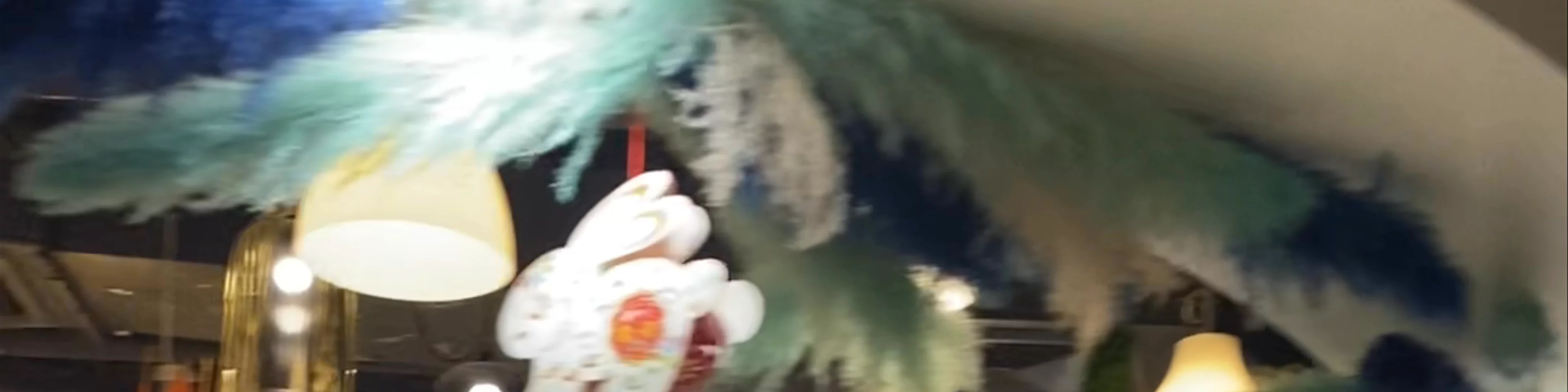 Siang Ping Loh