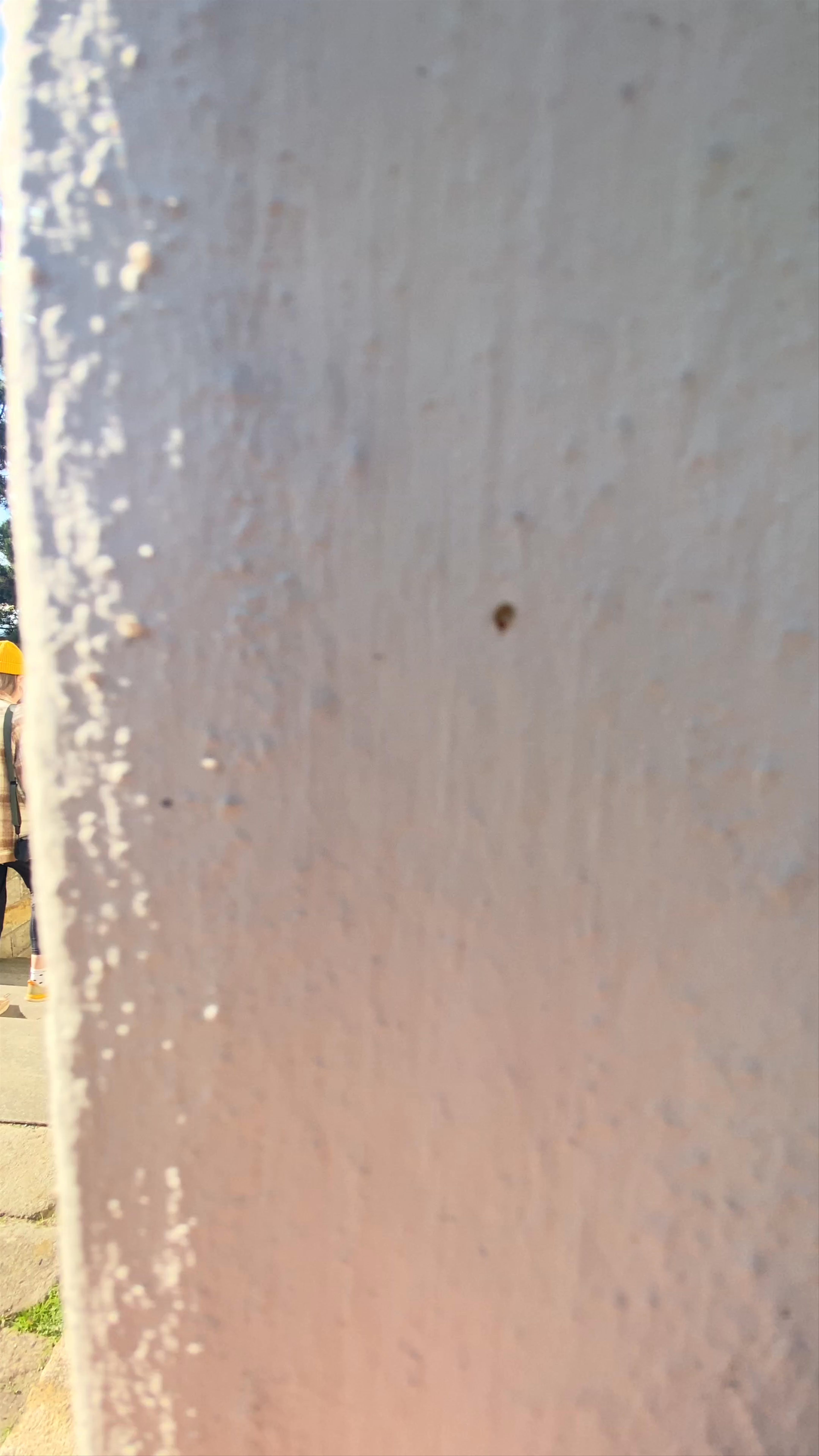 Museum der Festung Königstein