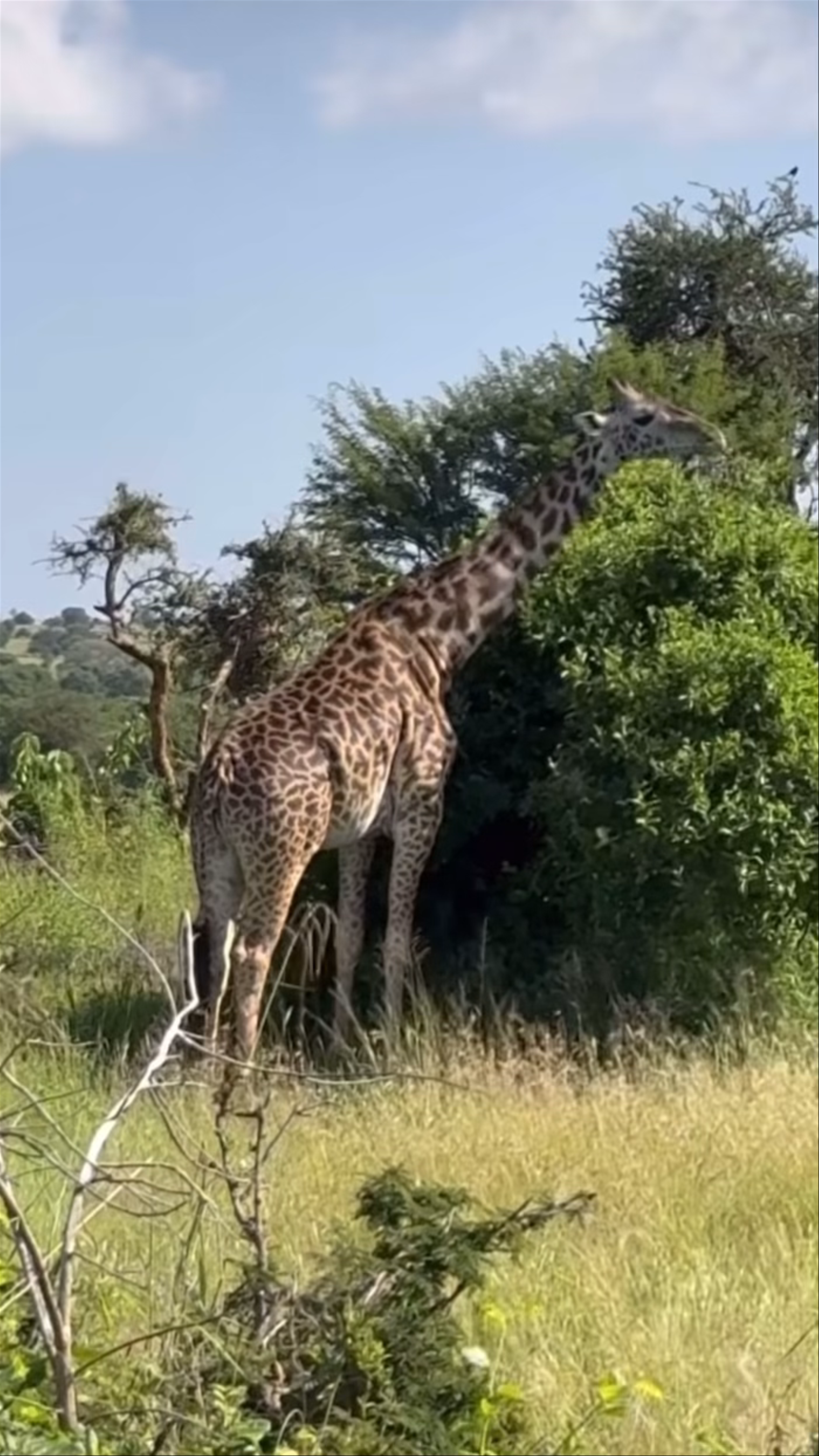 Serengeti National Park