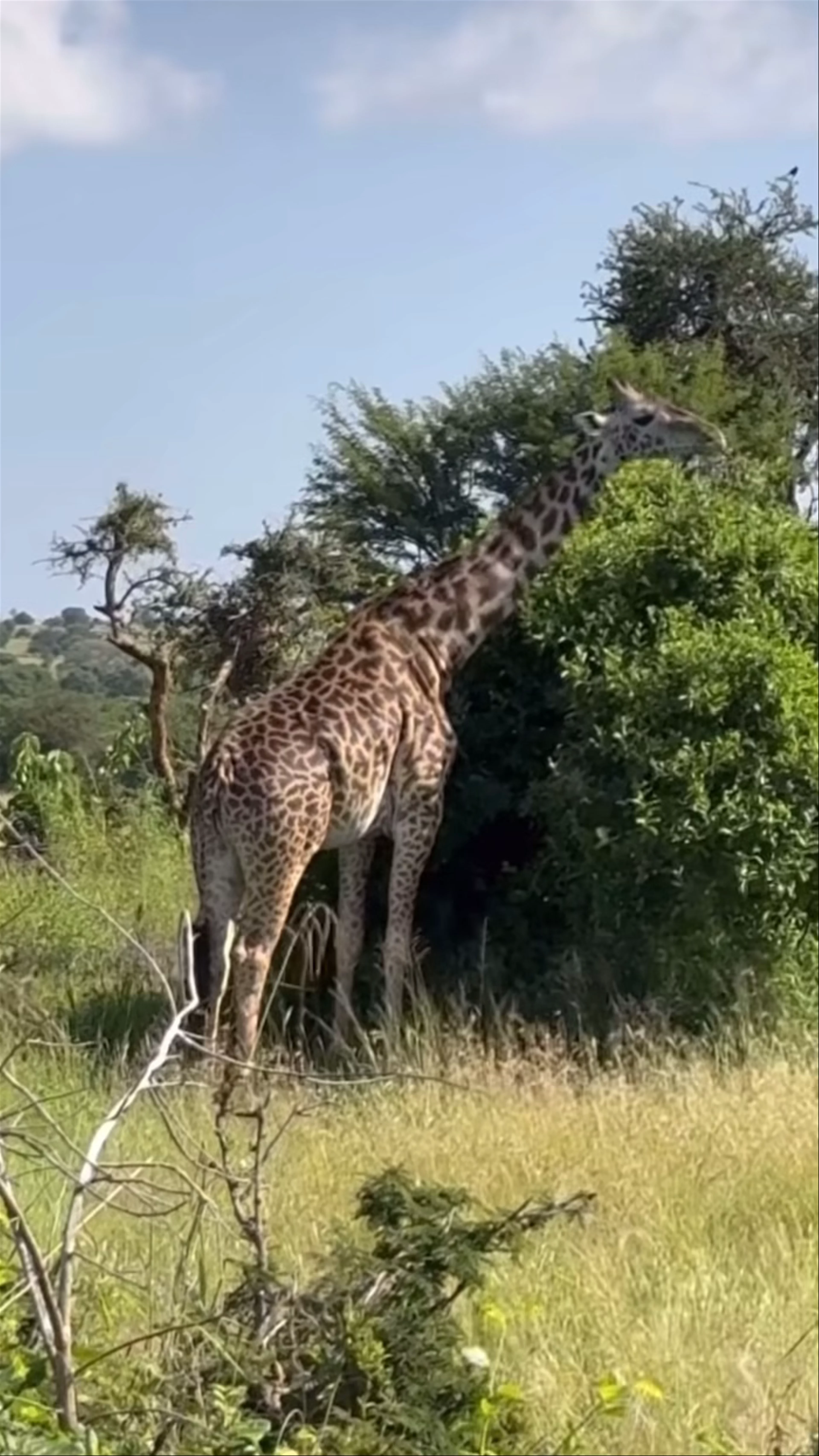 Serengeti National Park