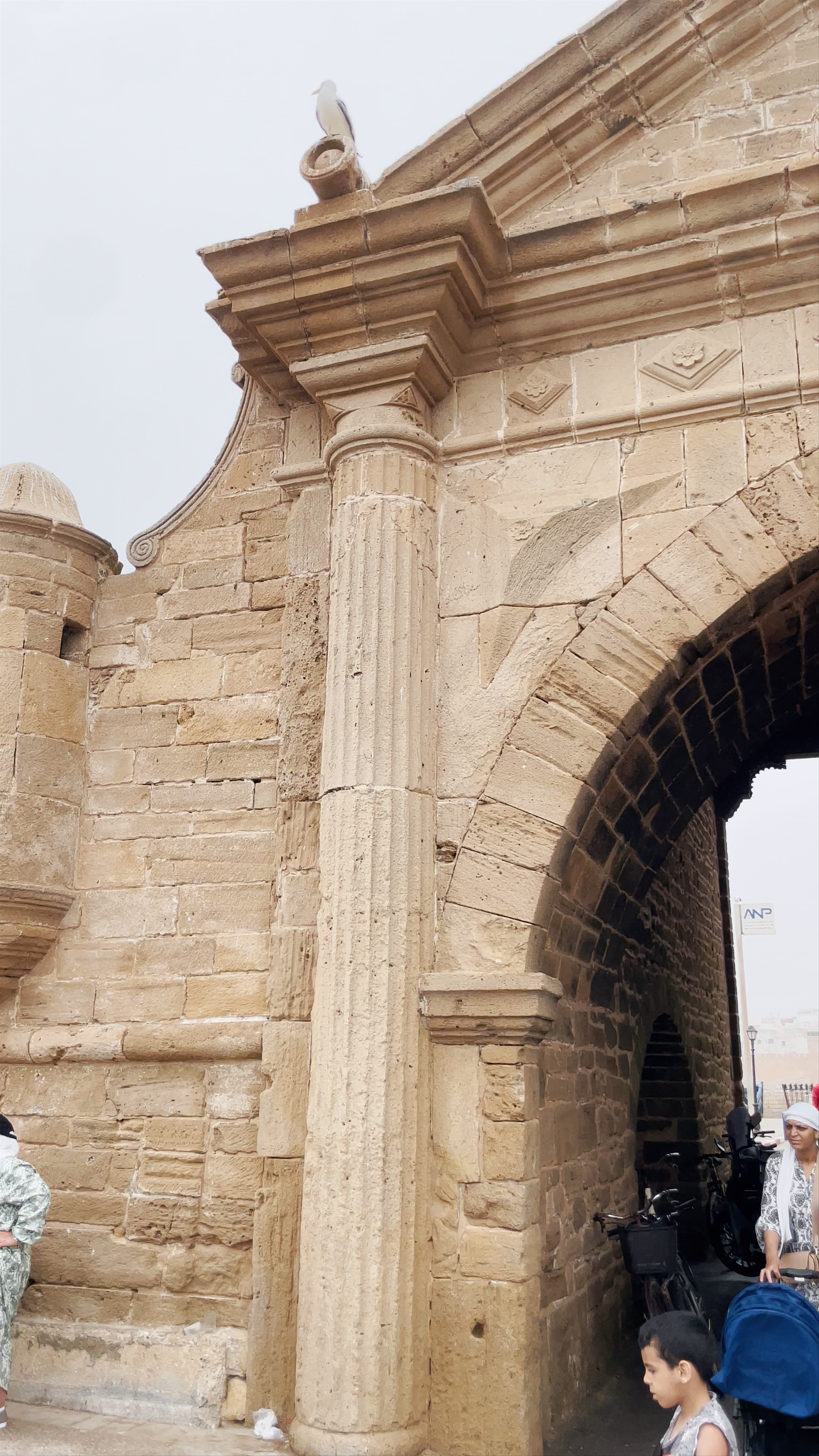 Bab El Marsa