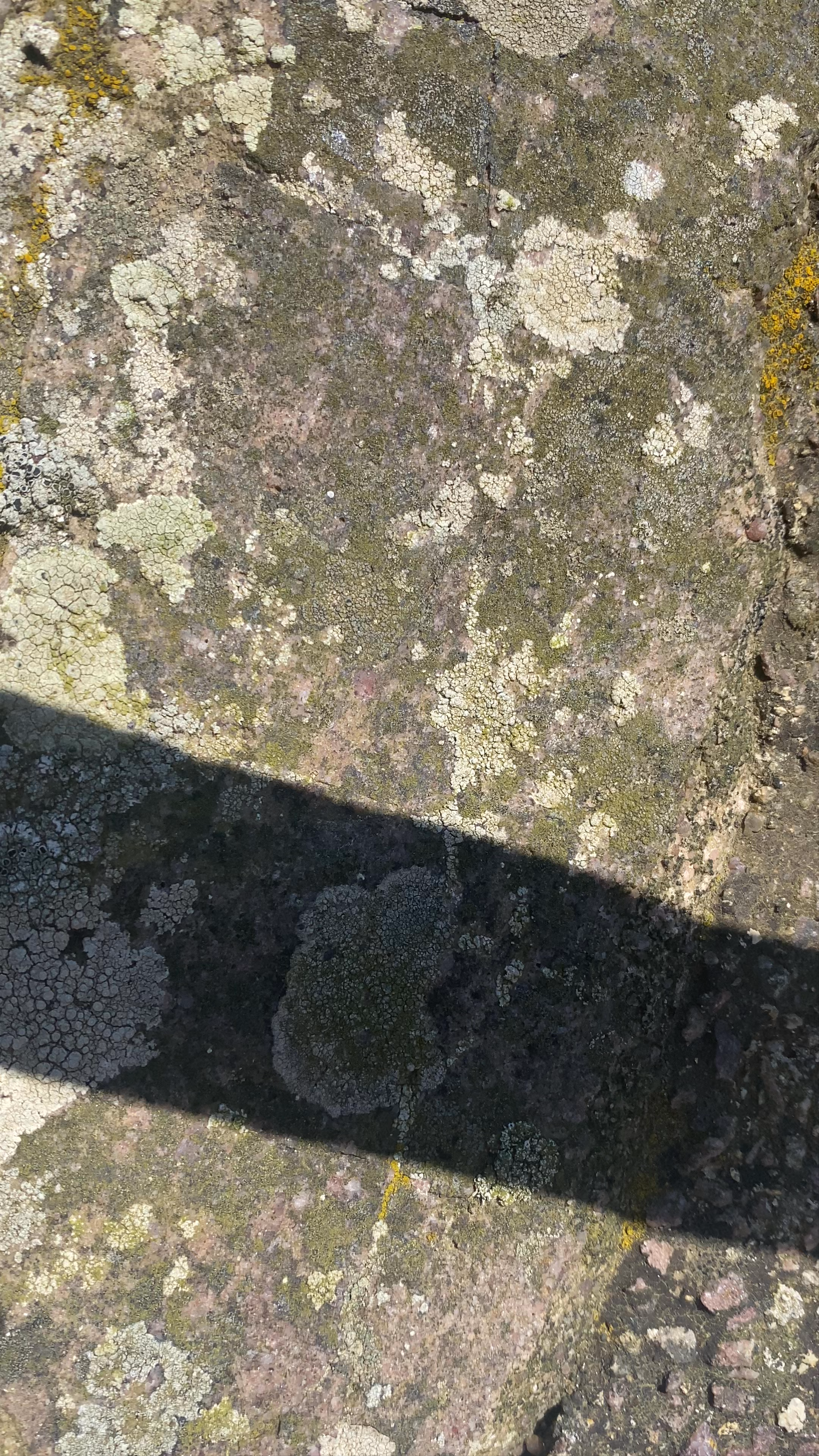 Fort la Latte (Château de La Roche Goyon)