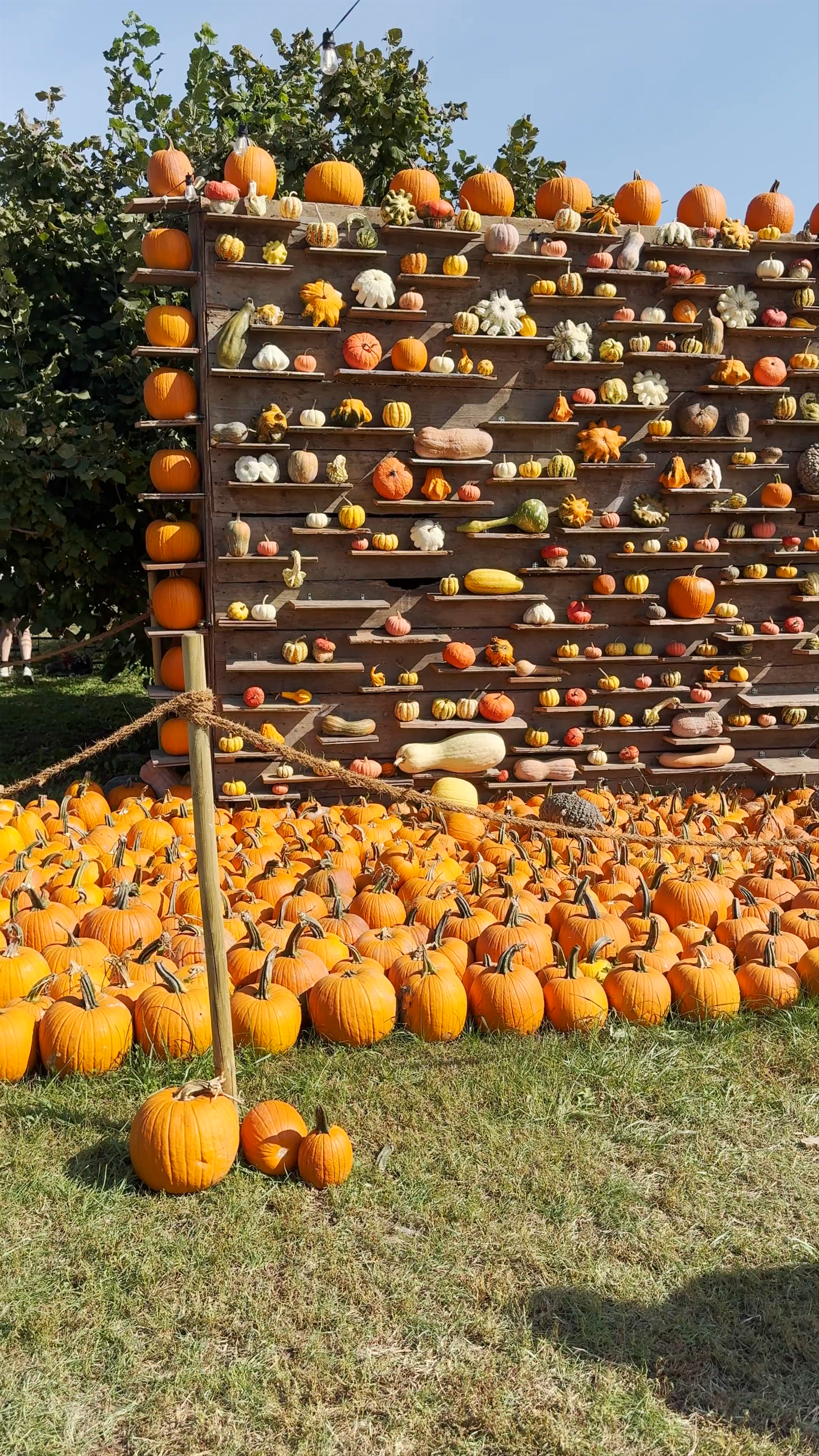 NONNO ANDREA Azienda Agricola Biodiversa