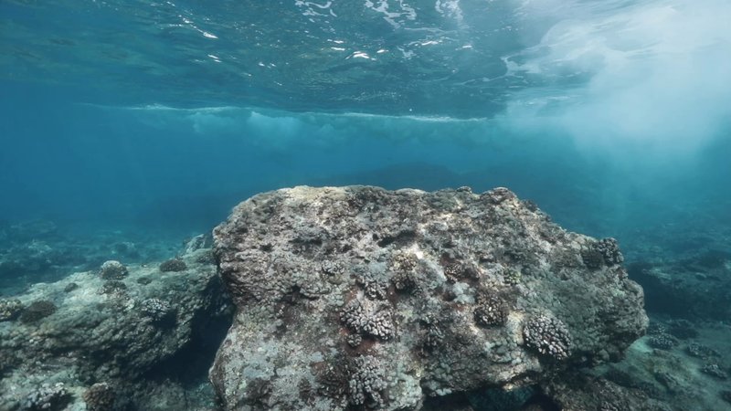 Underwater Wave poster