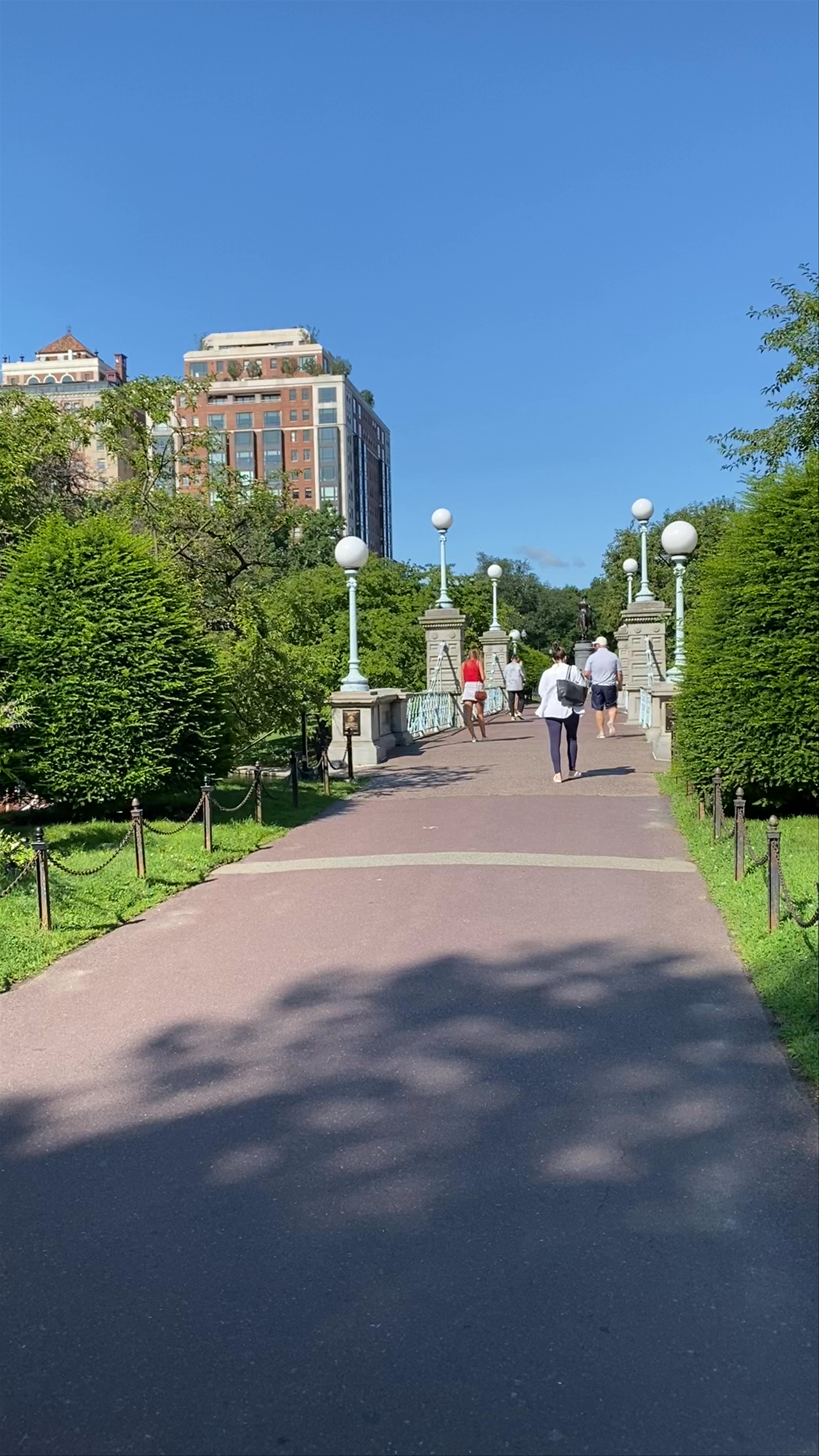 Serene Stroll Through Boston Public Garden on a Sunny Day