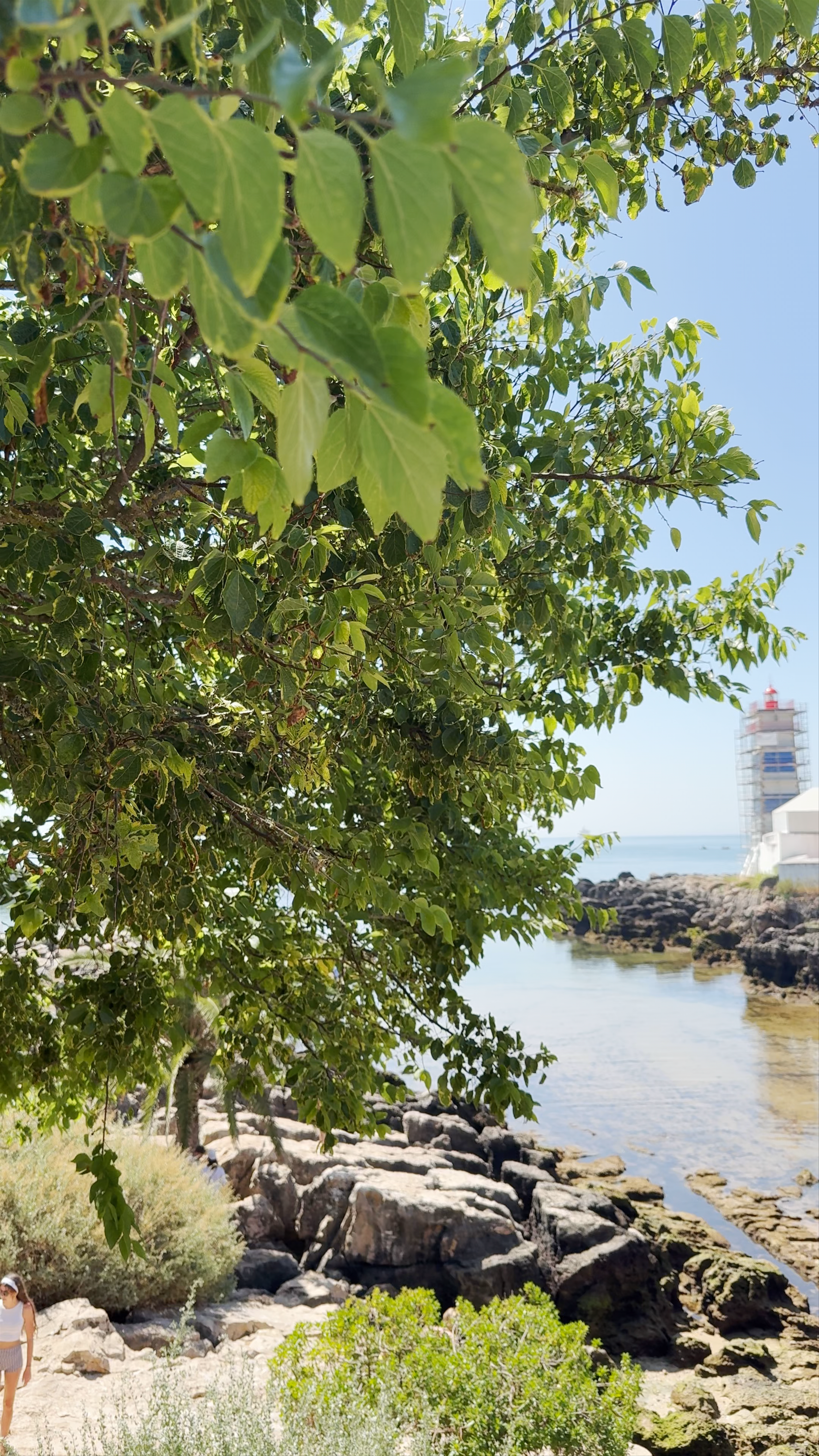 Farol Museu de Santa Marta: Coastal Charm in Cascais, Portugal