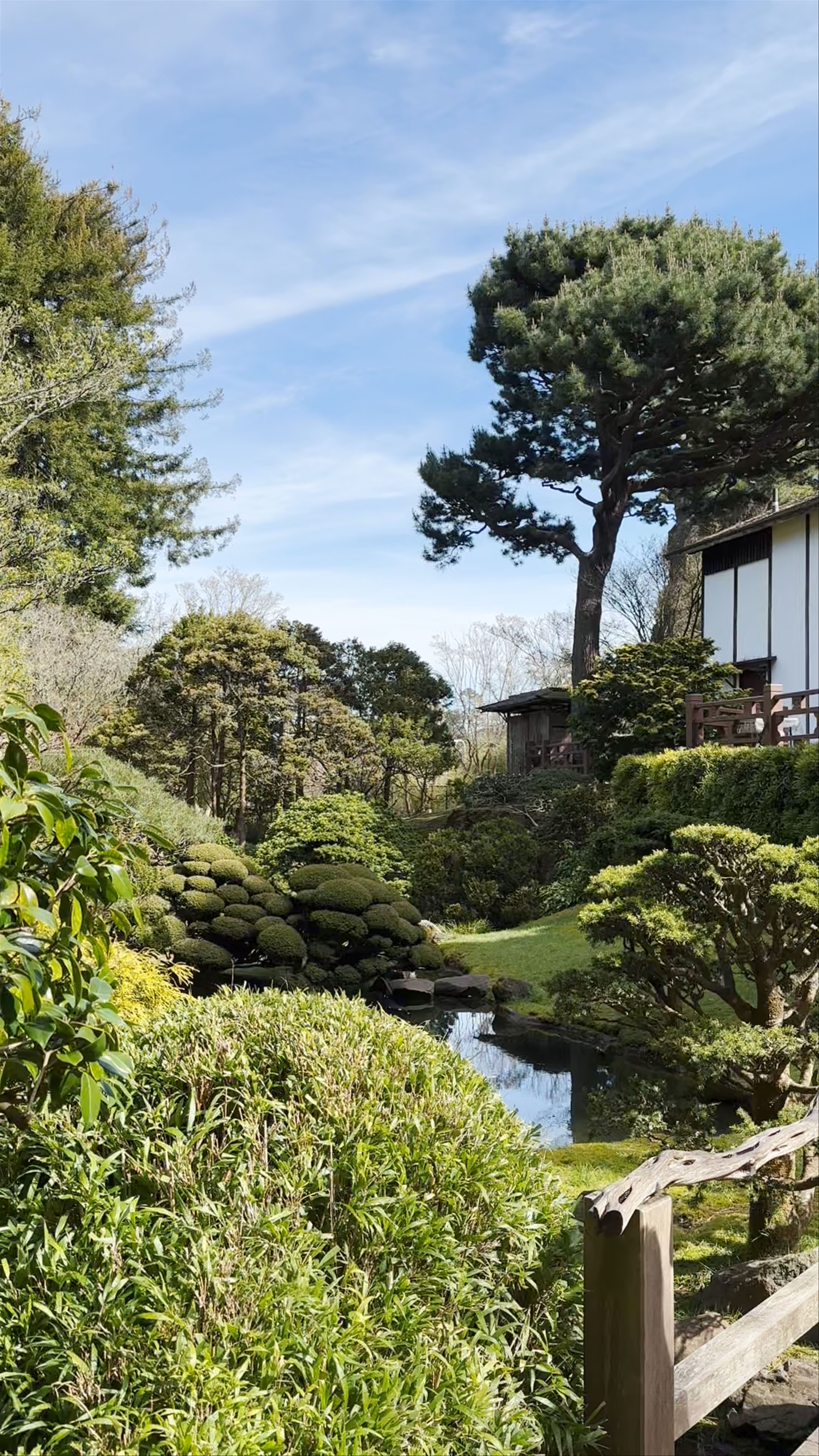 Jardín japonés Hagiwara de San Francisco
