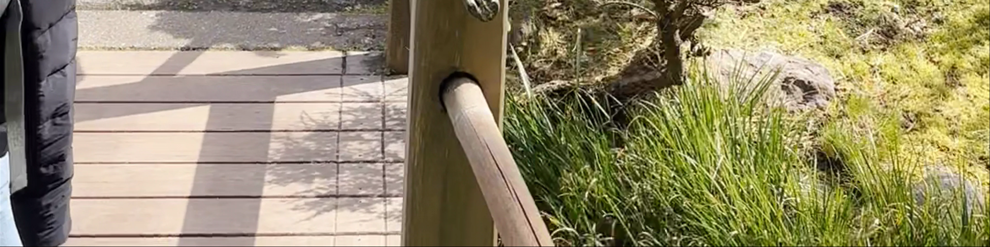 Jardín japonés Hagiwara de San Francisco