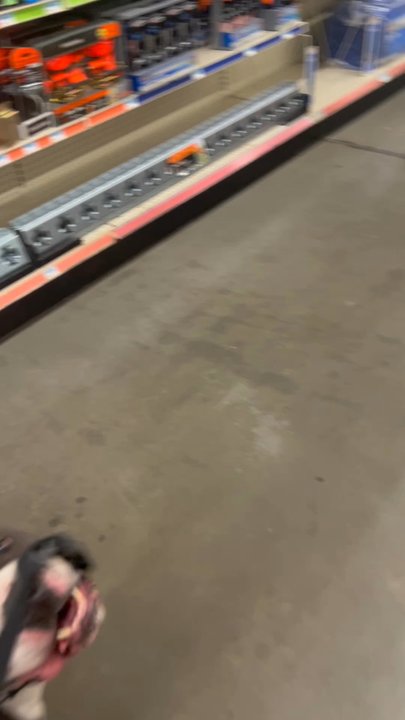 Tractor Supply - Hardware Stores Near Me - Hillsborough, North Carolina