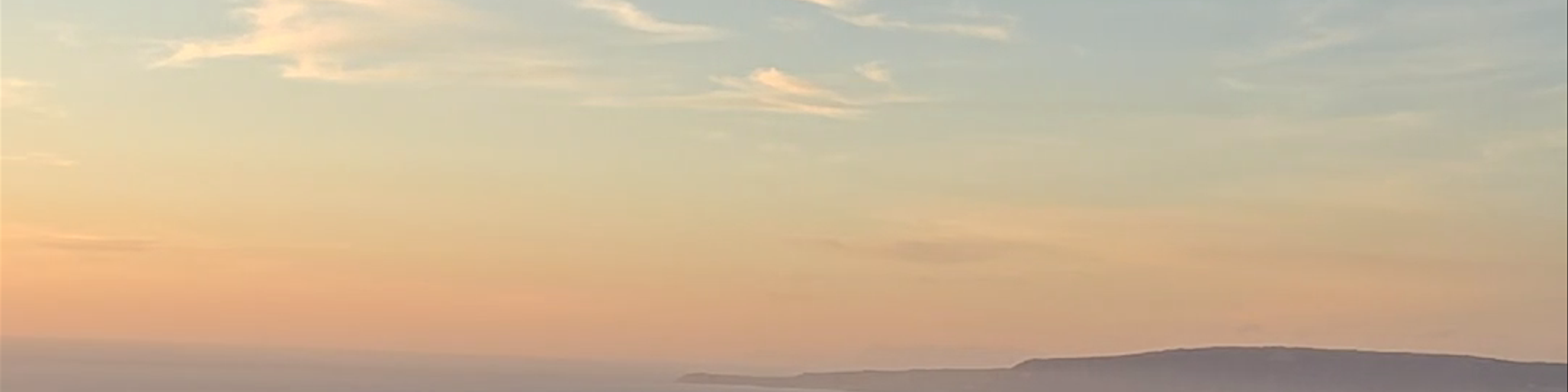 Palmi
