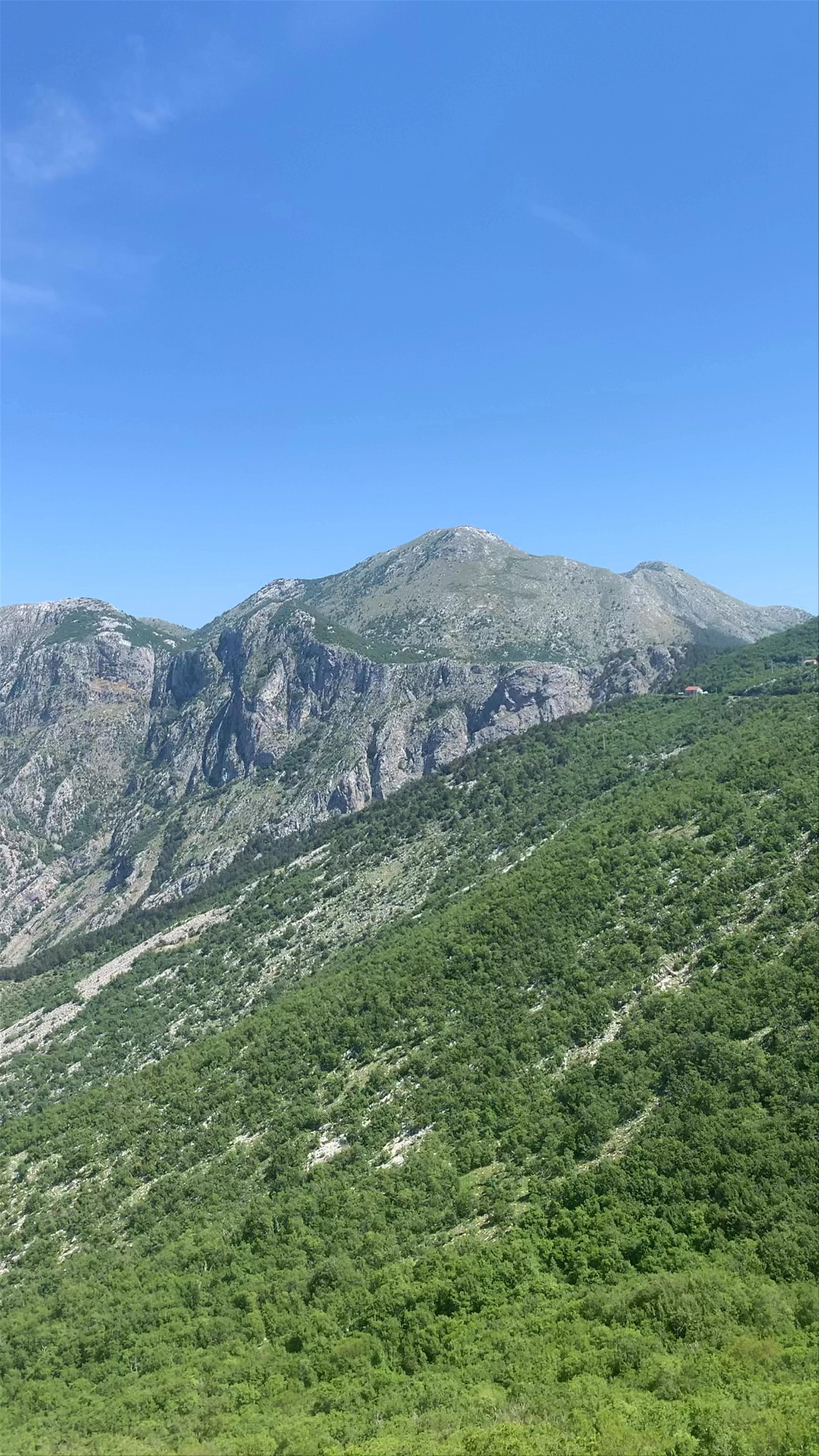 Trojica