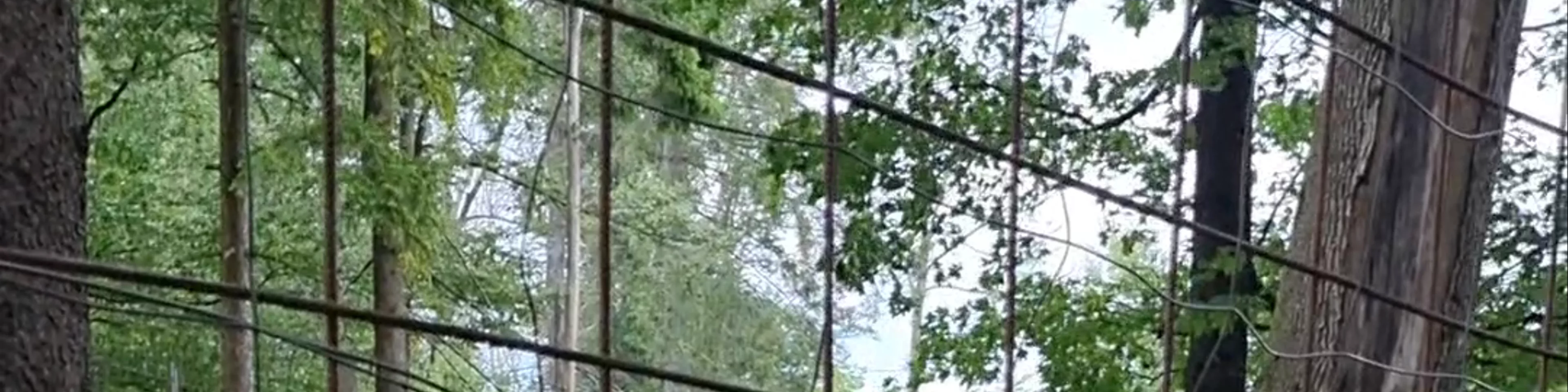 Zoo