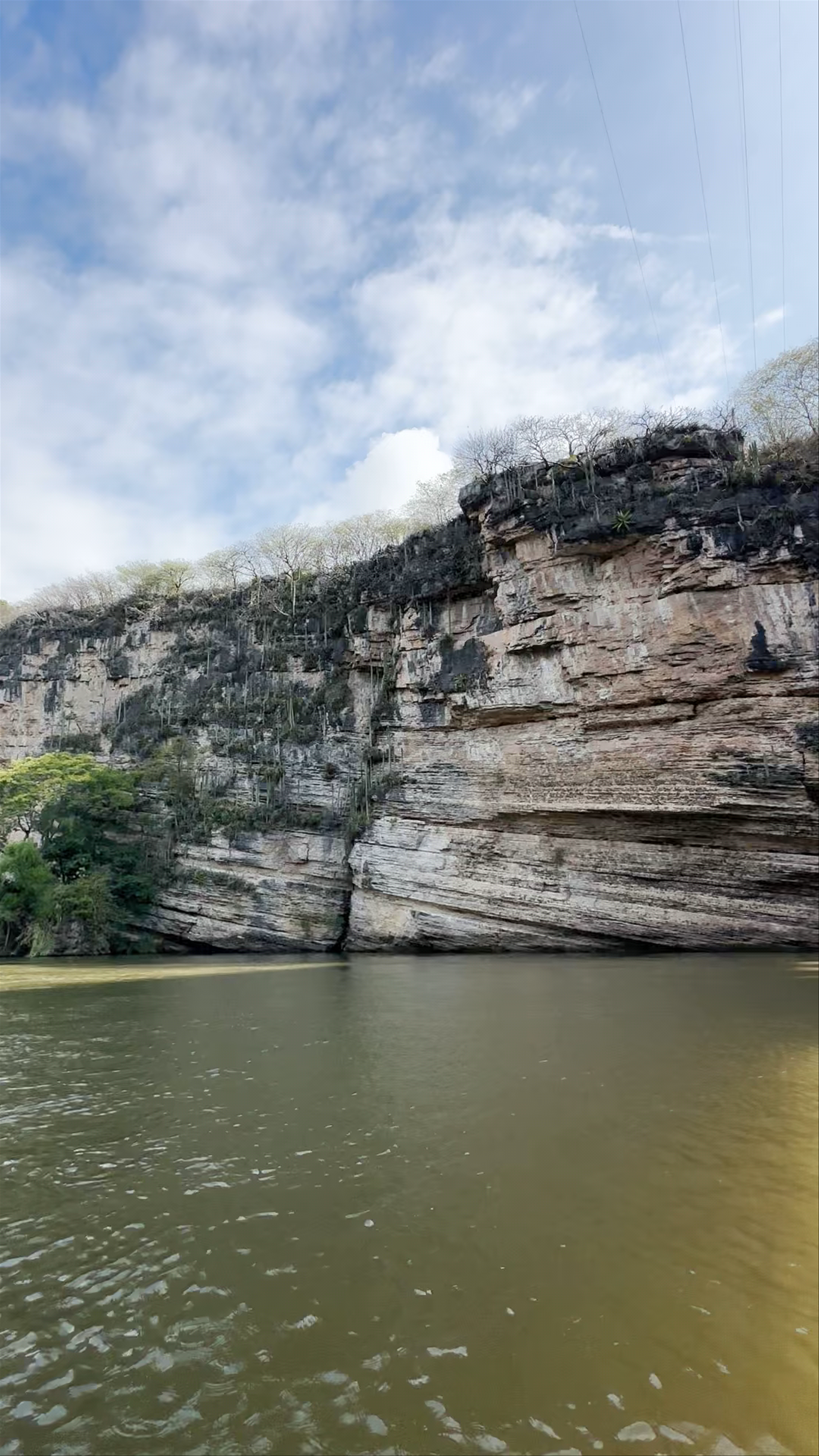 Puente Dr. Belisario Domínguez