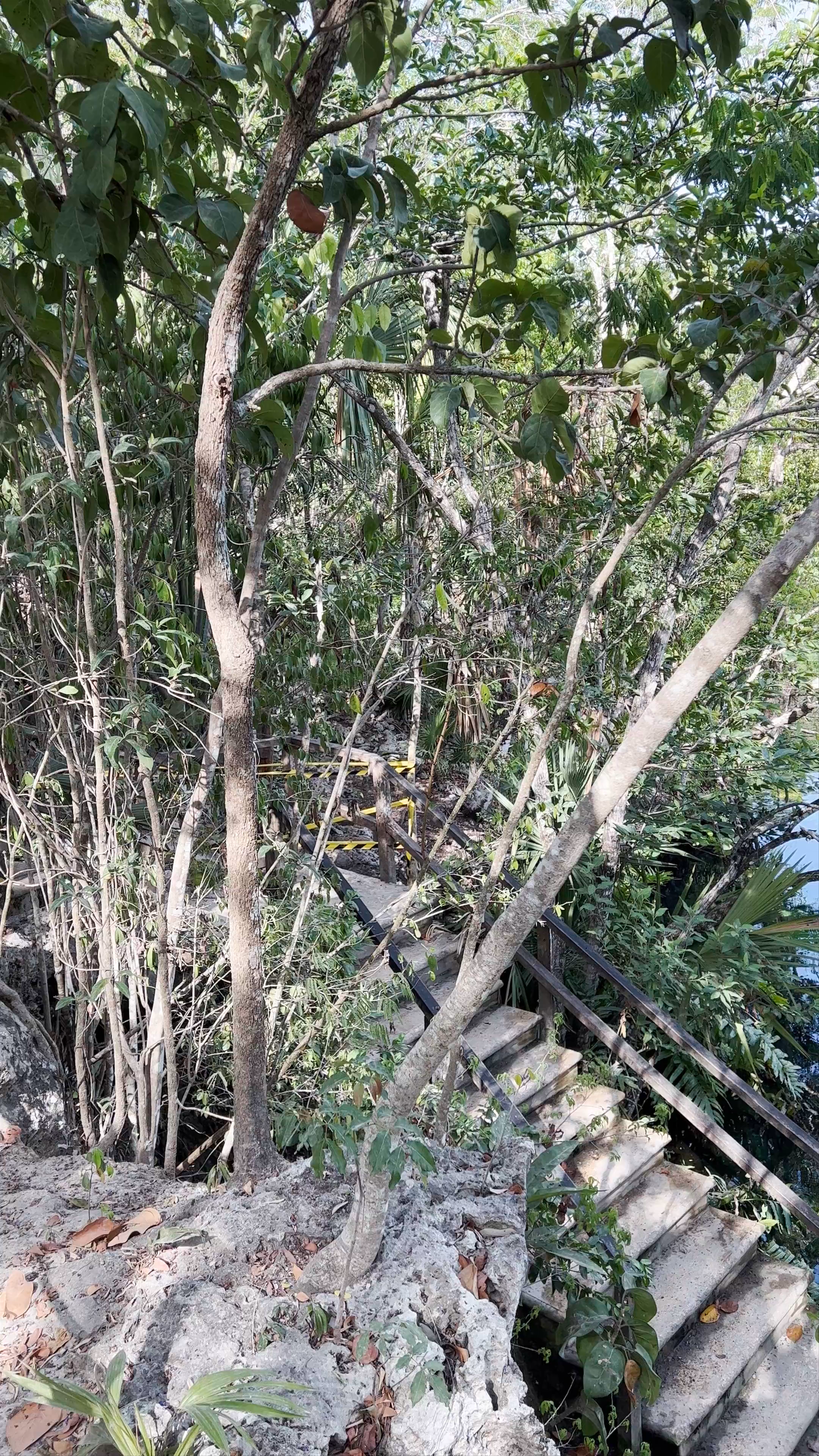 Cenote Ponderosa: Crystal Clear Waters in Quintana Roo, Mexico