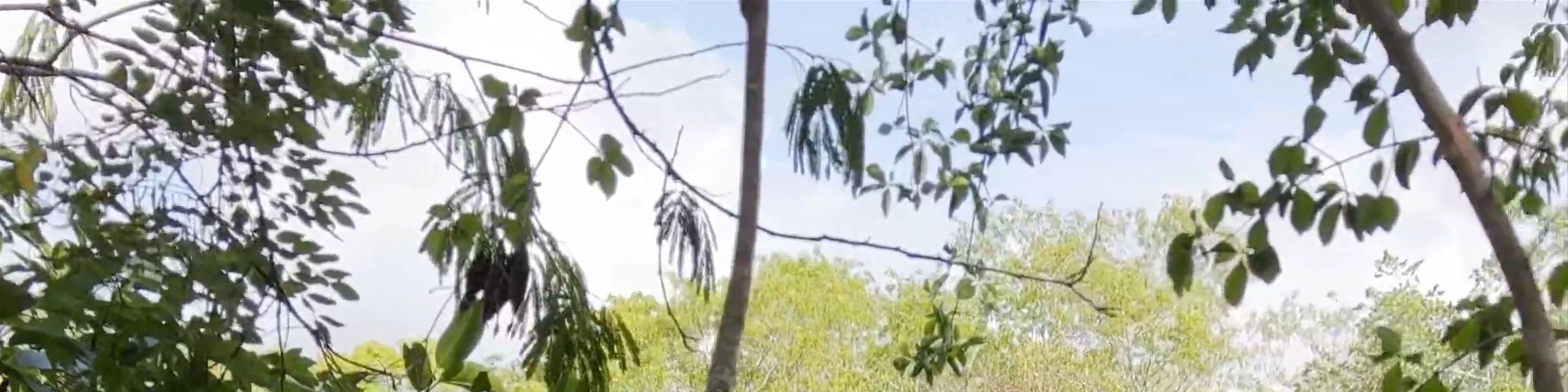 Cenote Ponderosa