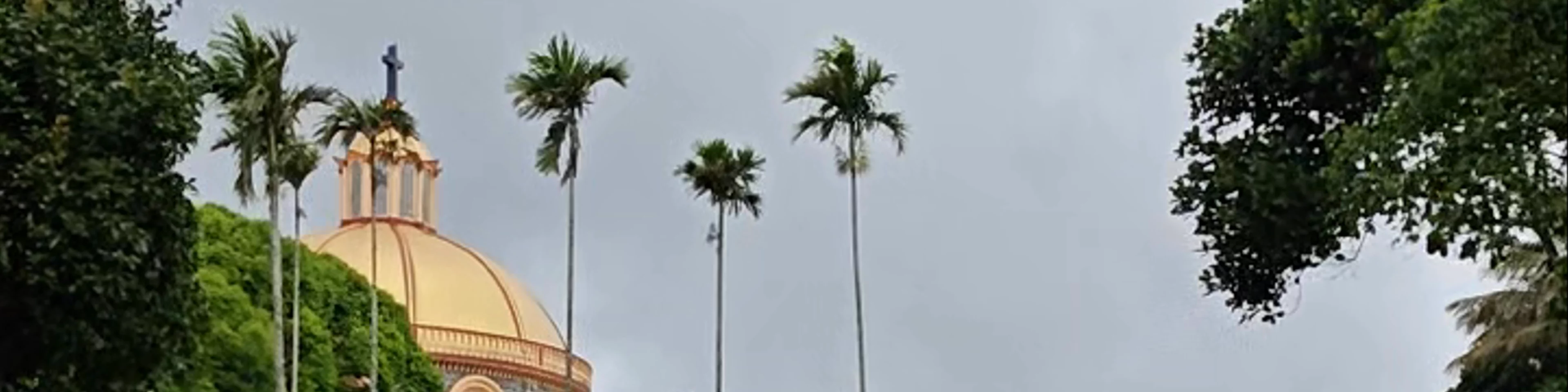 Pattumala Velankanni Matha Church