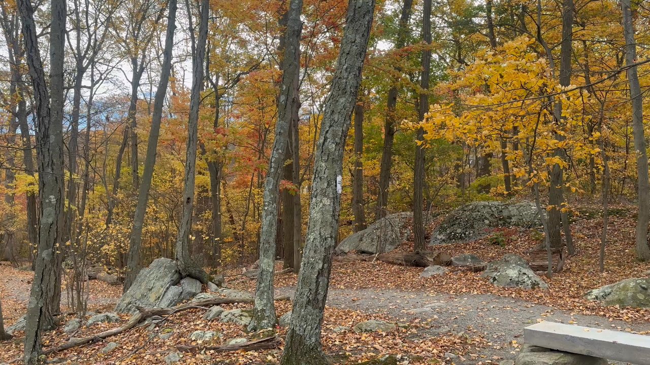 WildCat Ridge Reservation Trail - Hiking Near Me - Rockaway, New Jersey