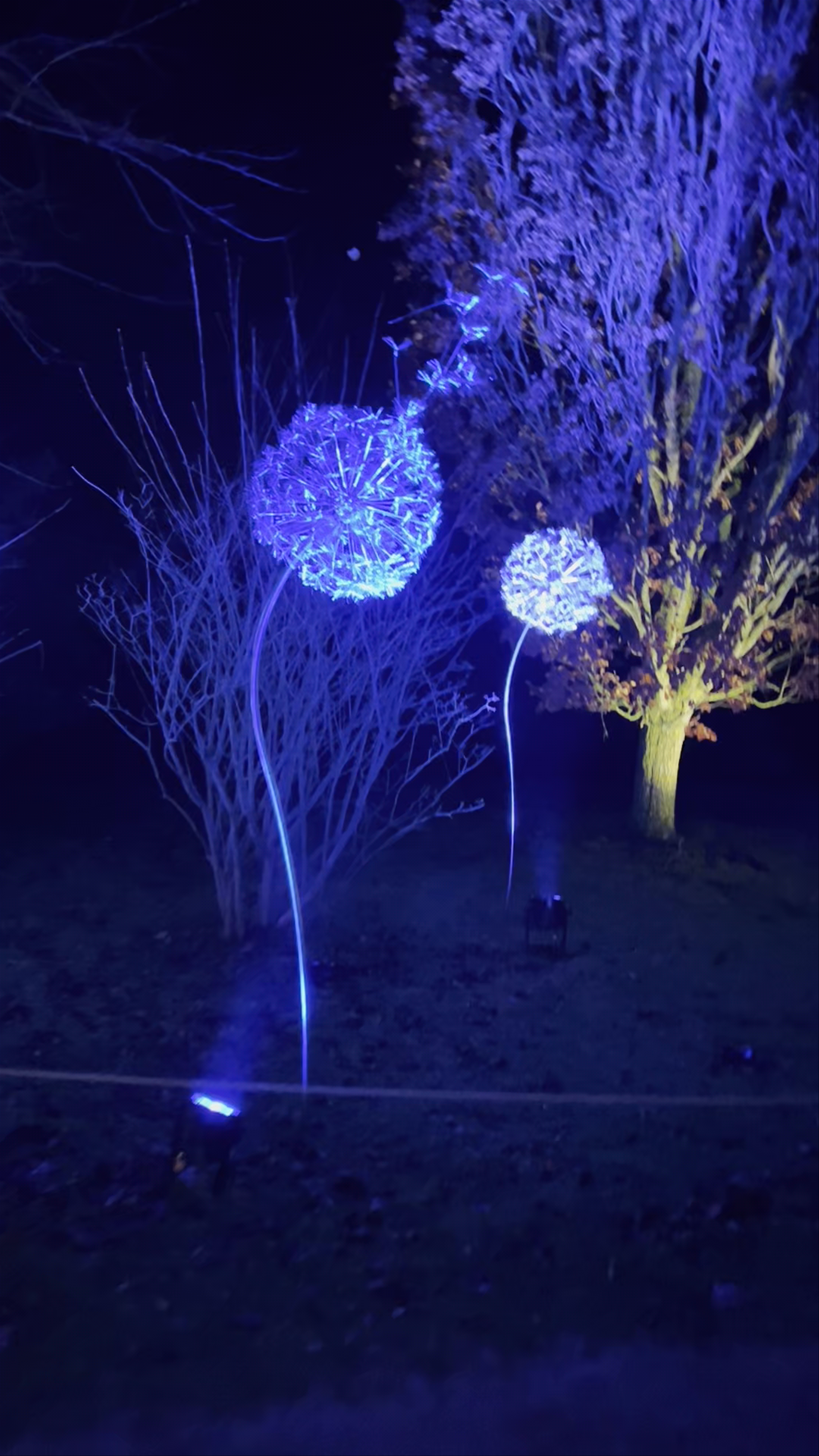 National Trust - Wimpole Estate