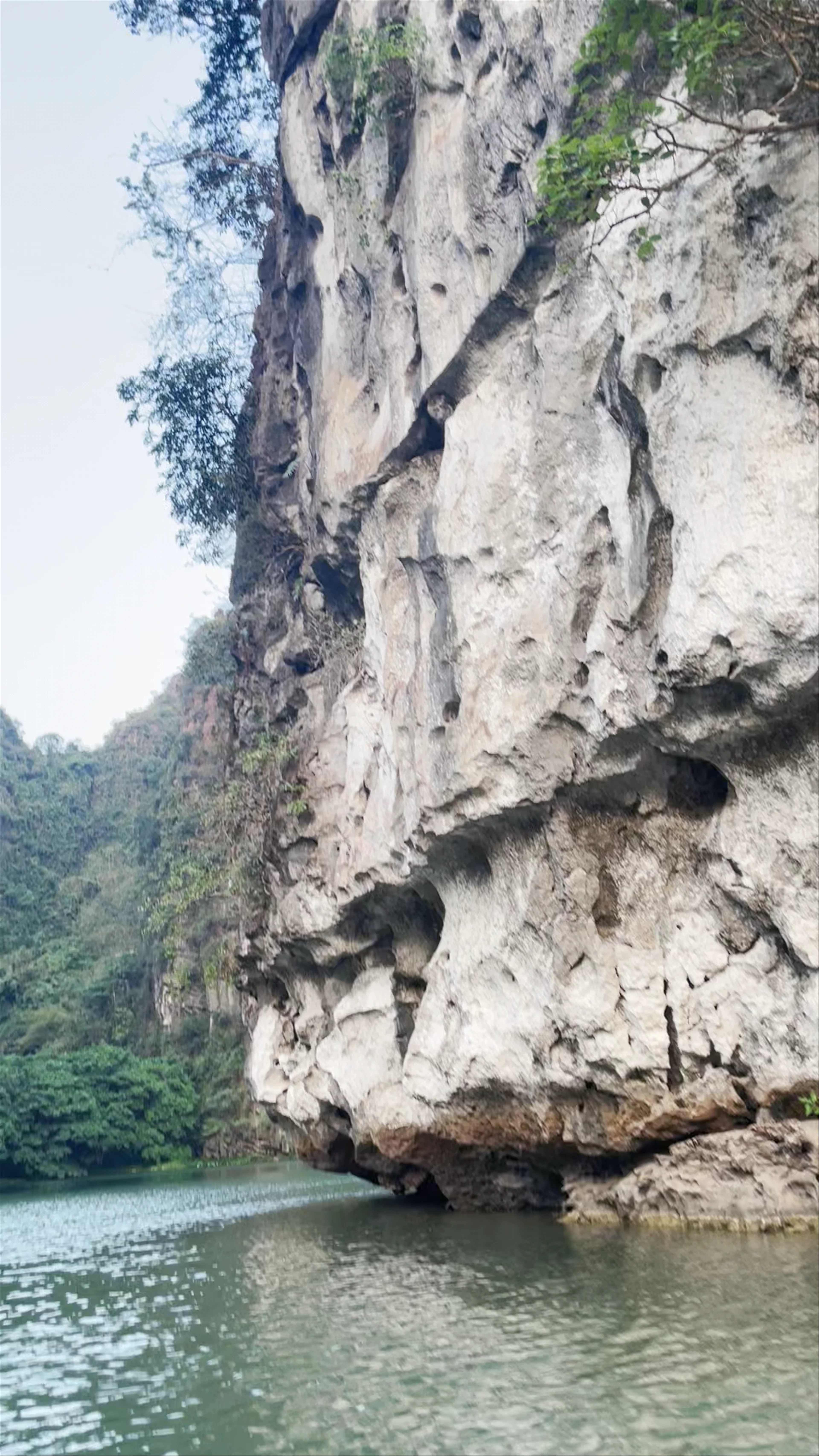 Phim Trường Kong Skull Island