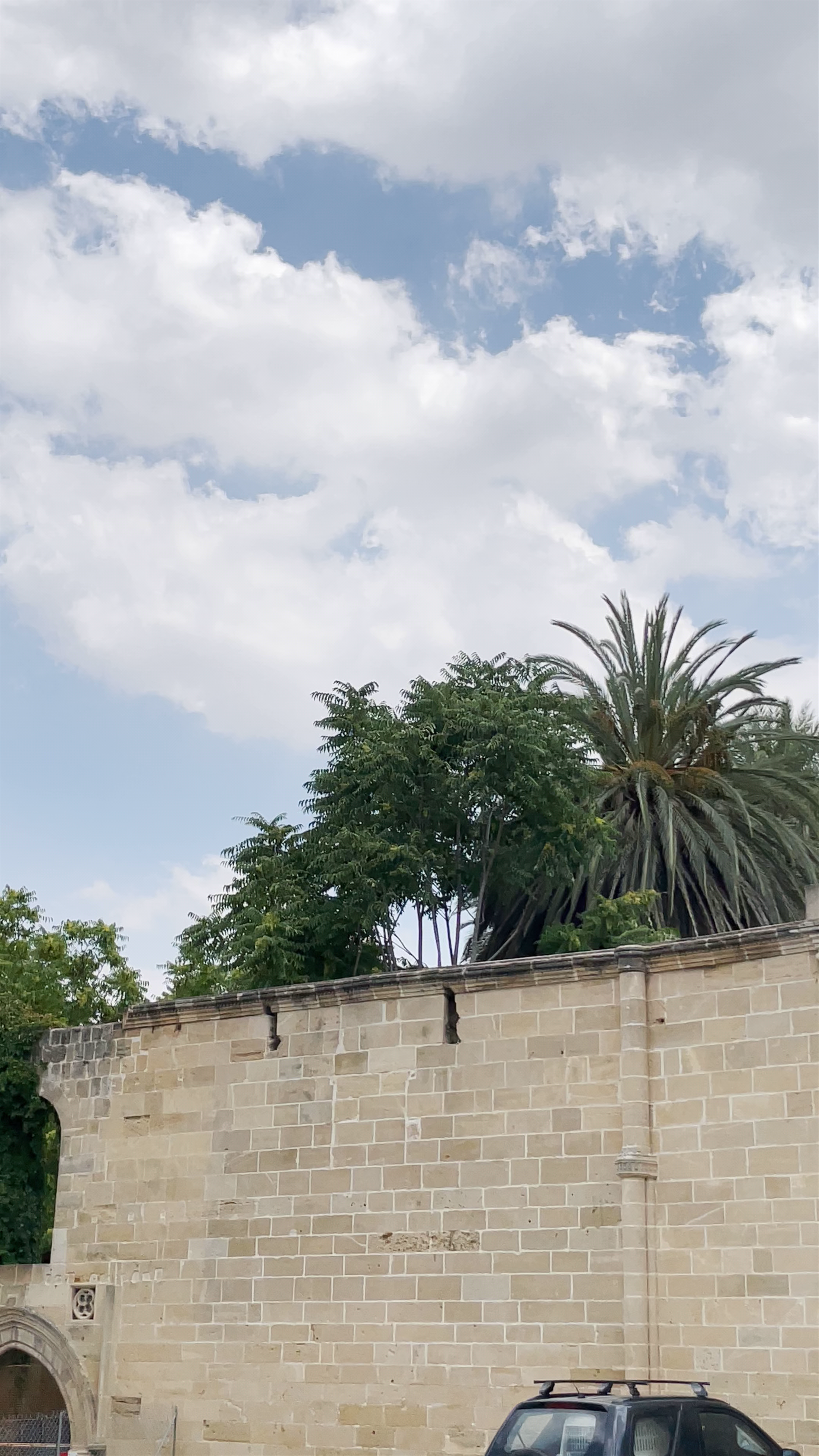Omeriye Mosque: Historic Serenity in Nicosia, Cyprus