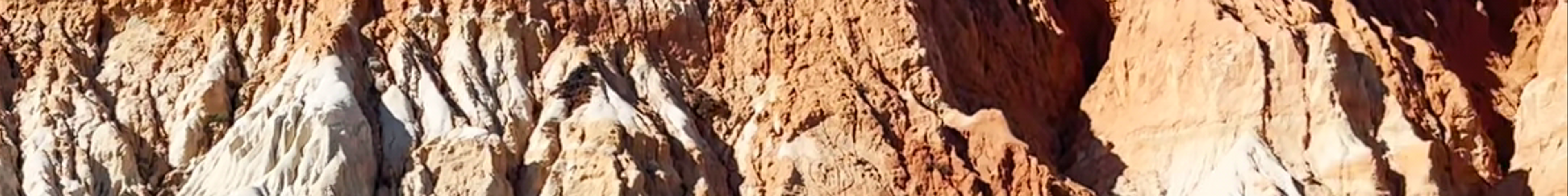Tours & experiences in Olhos de Água