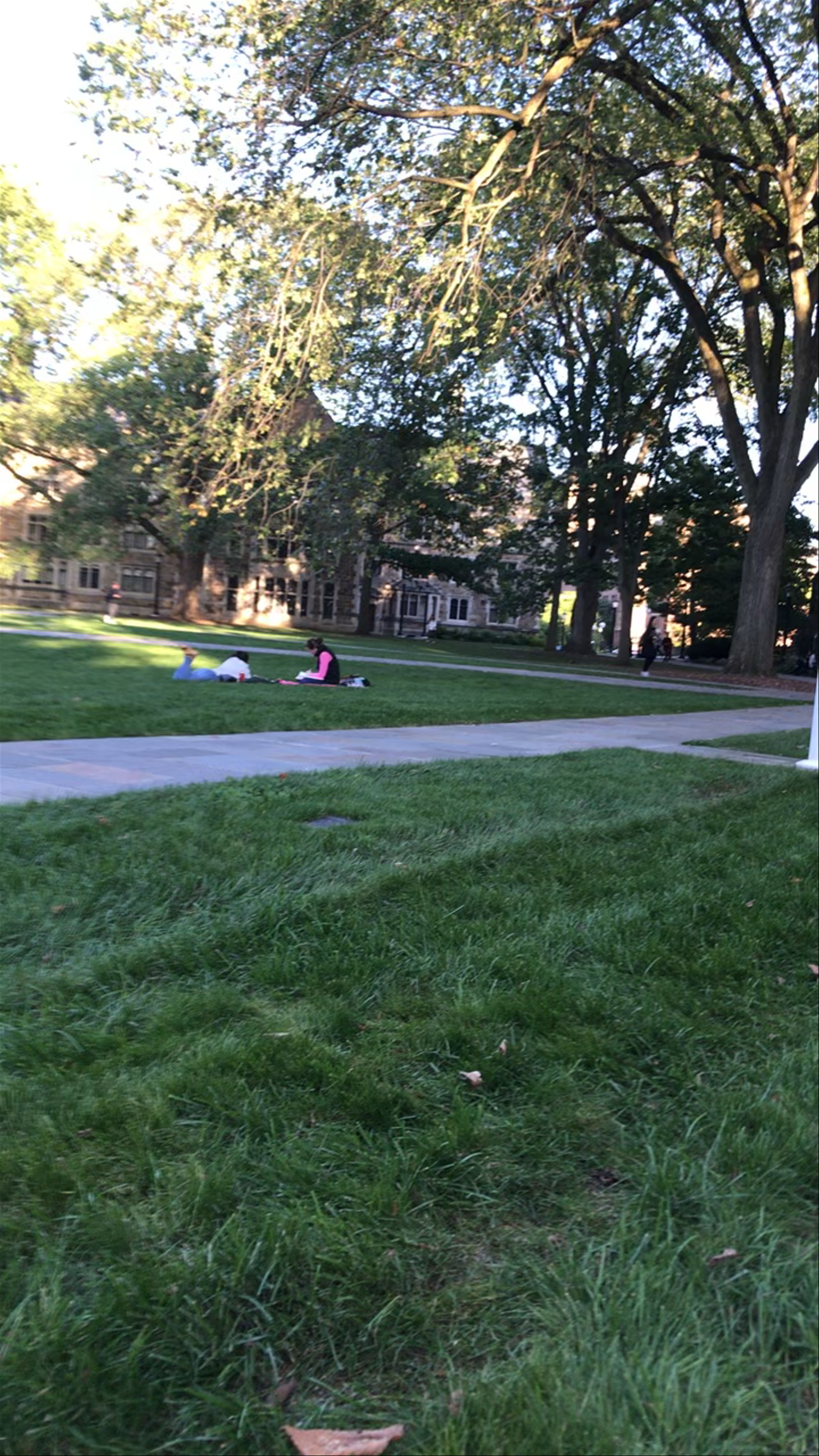 Law Quadrangle: Peaceful Study Oasis in Ann Arbor