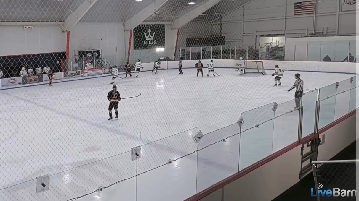 Anna DeSantis: Defensive Zone Chip & Perfect 2-on-1 Assist