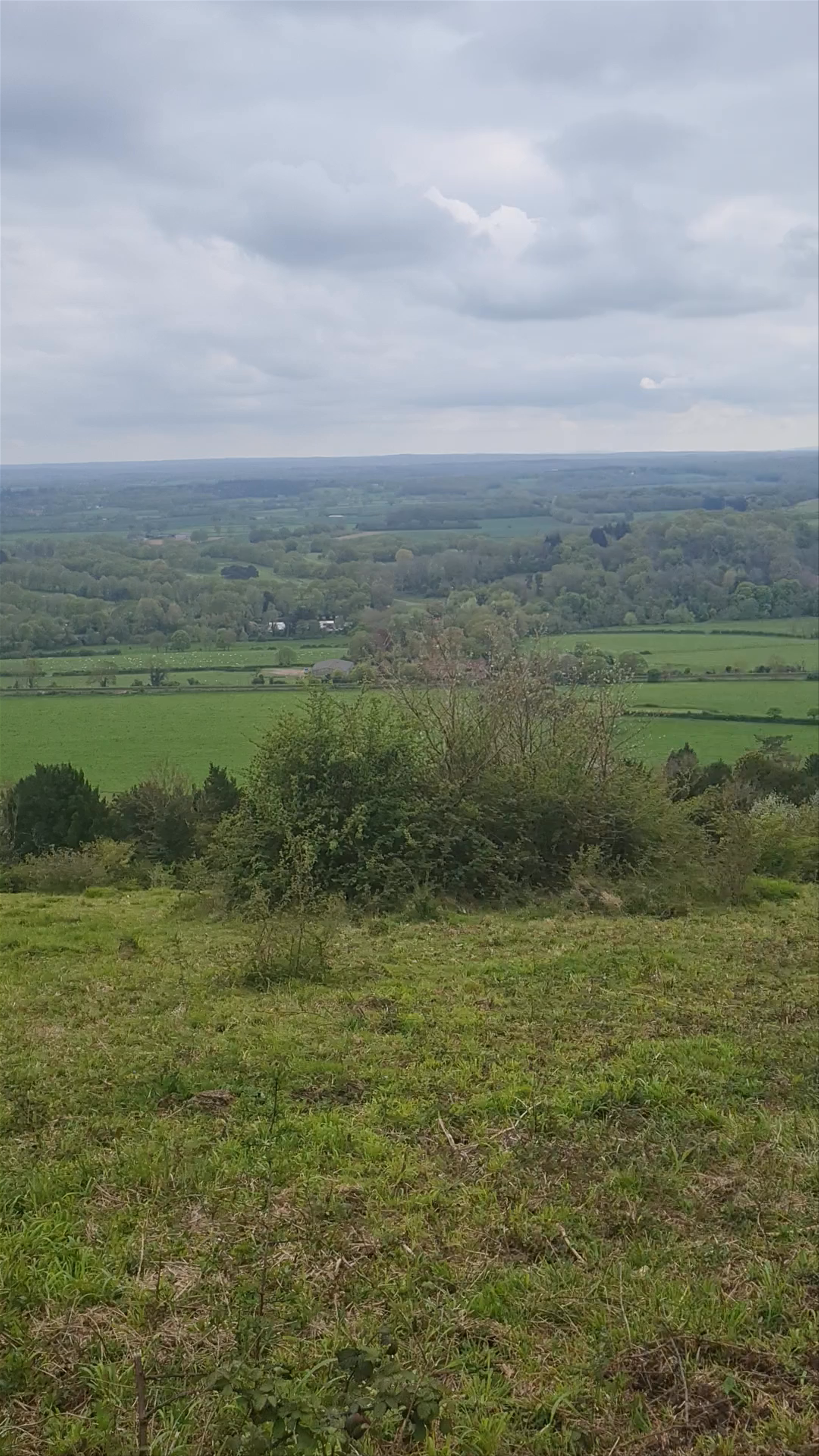 Box Hill Scenic Nature Walk in Surrey, UK