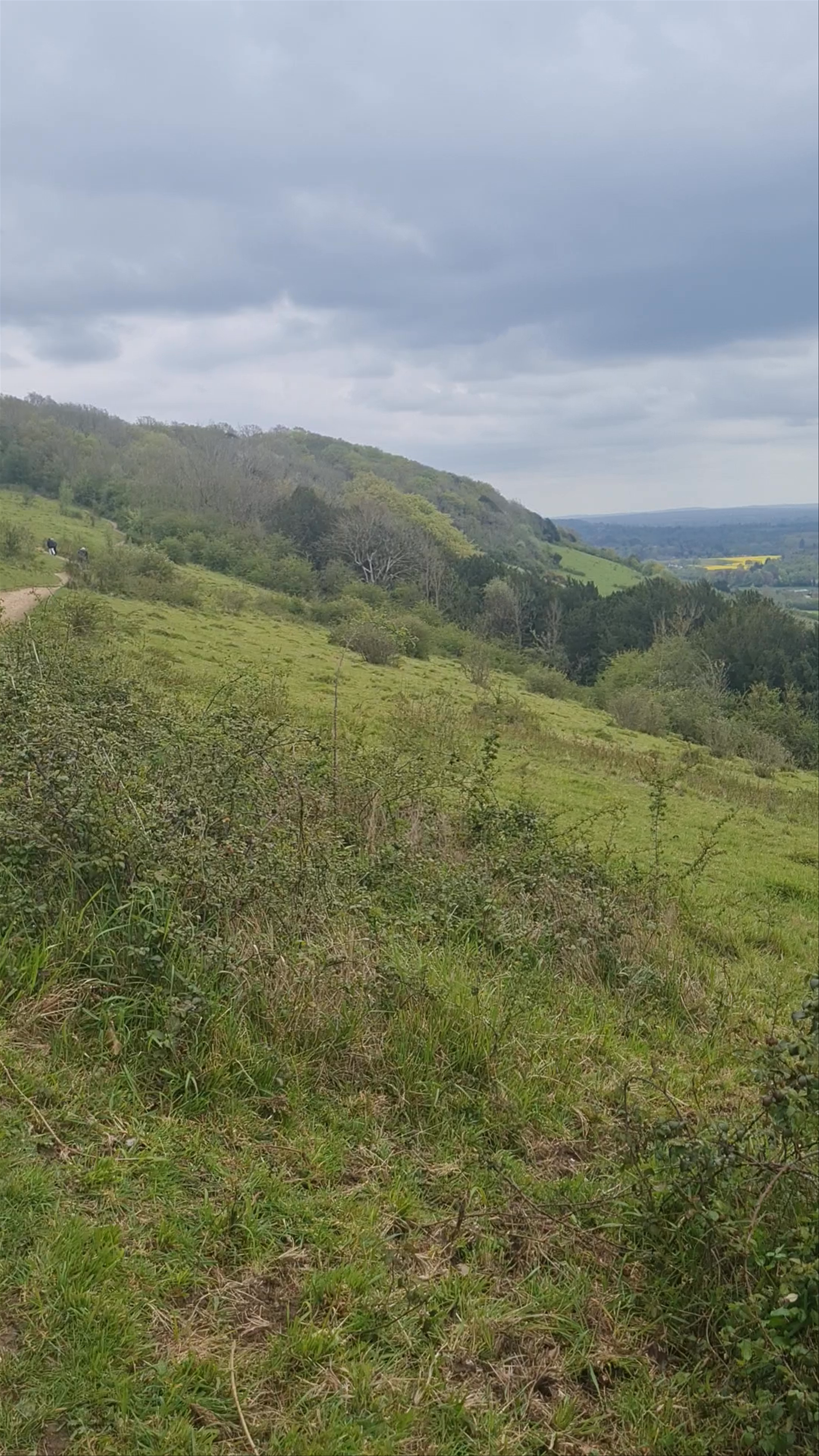 Box Hill