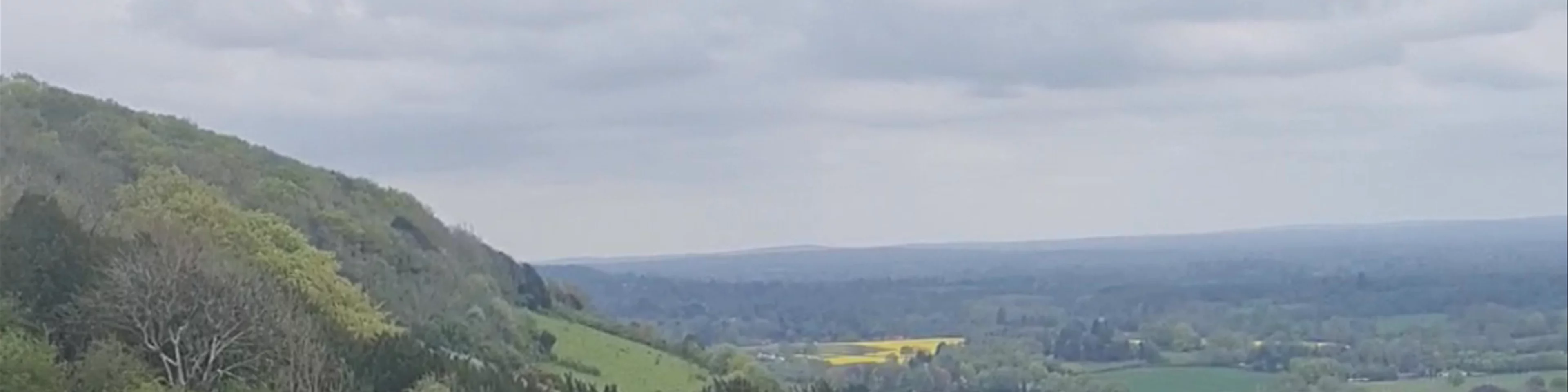 Box Hill
