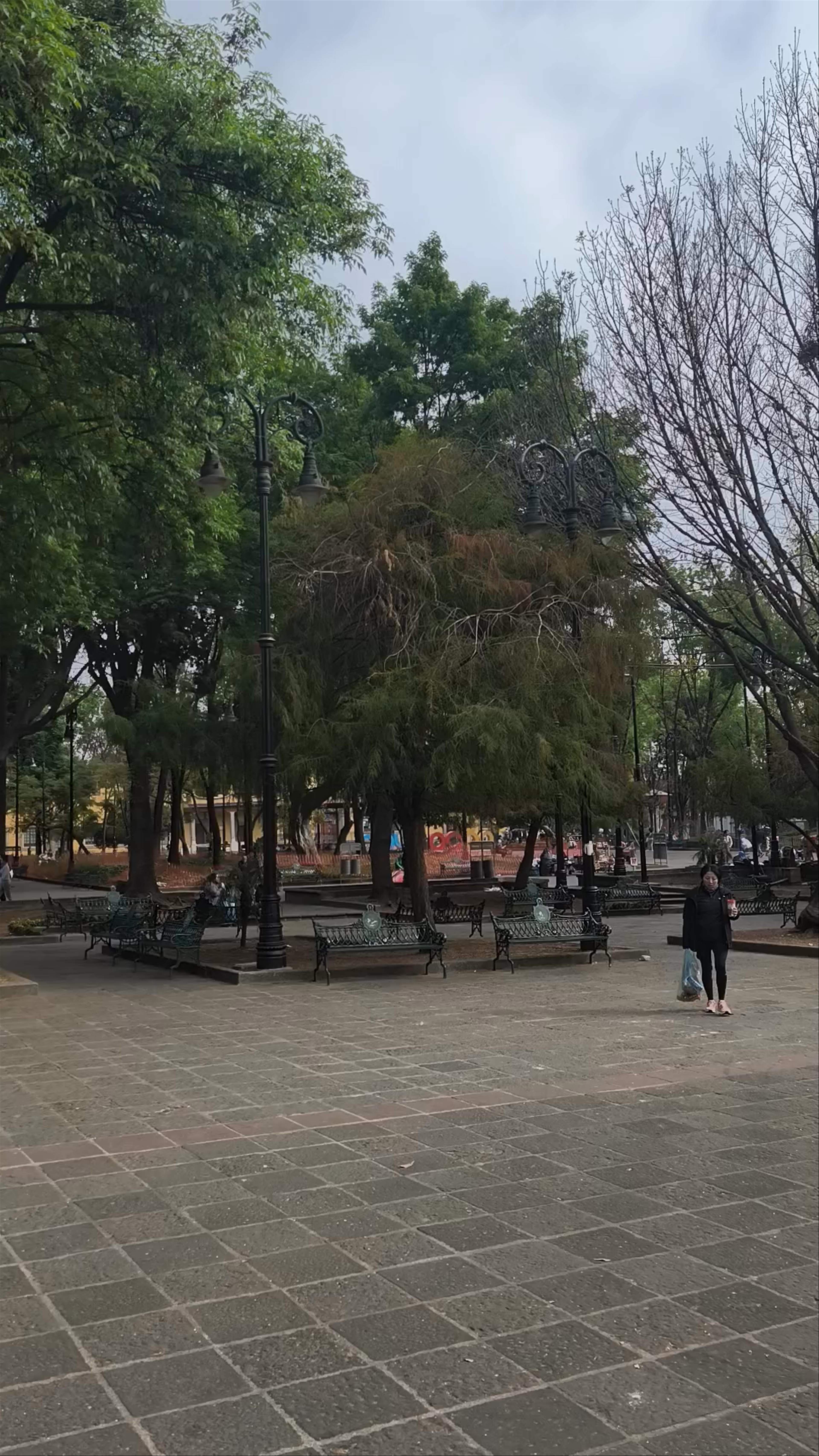 Jardín Centenario
