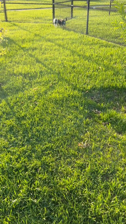Westwillow Park - Dog Parks Near Me - Houston, Texas