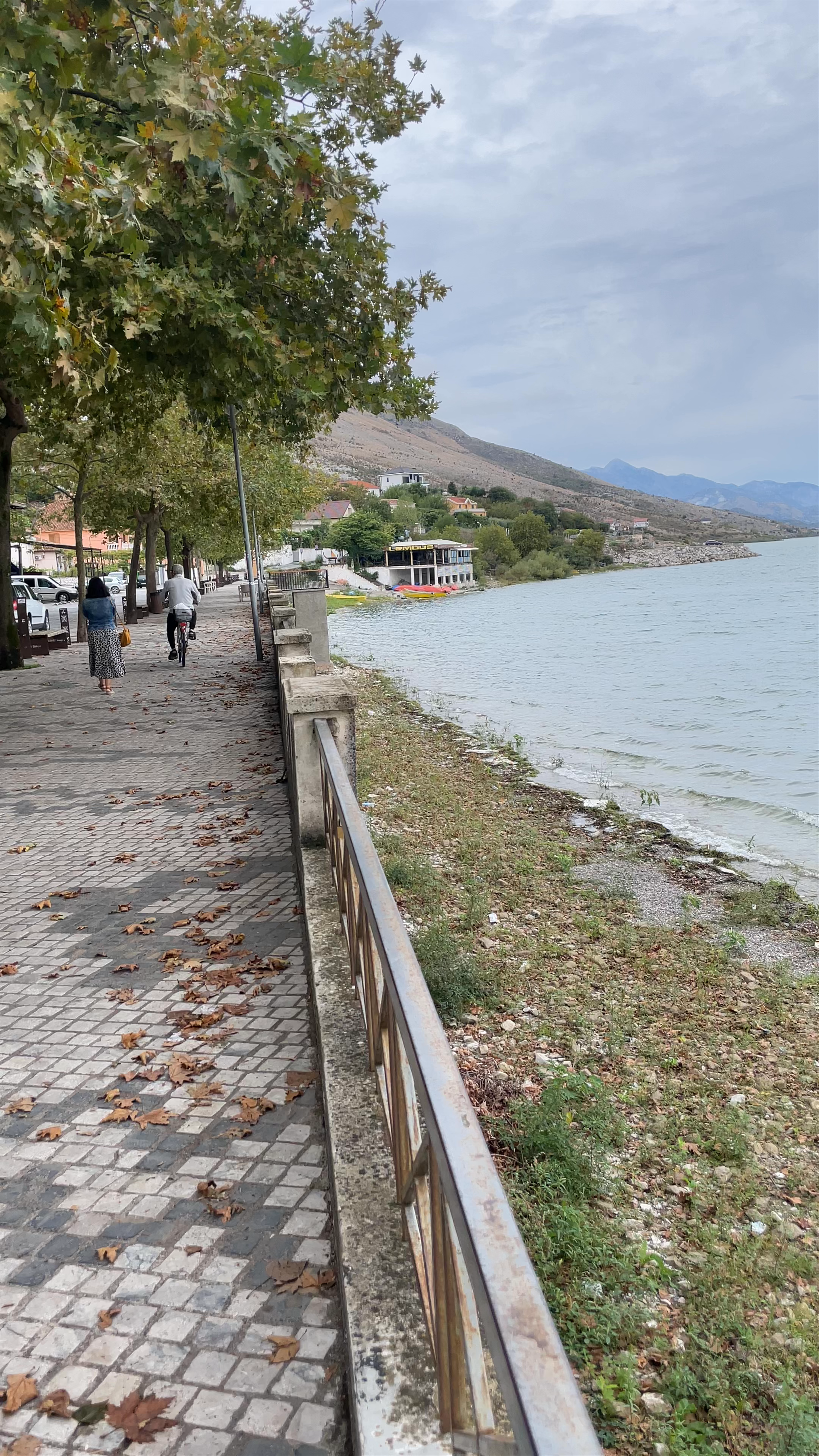 Lago Skadar