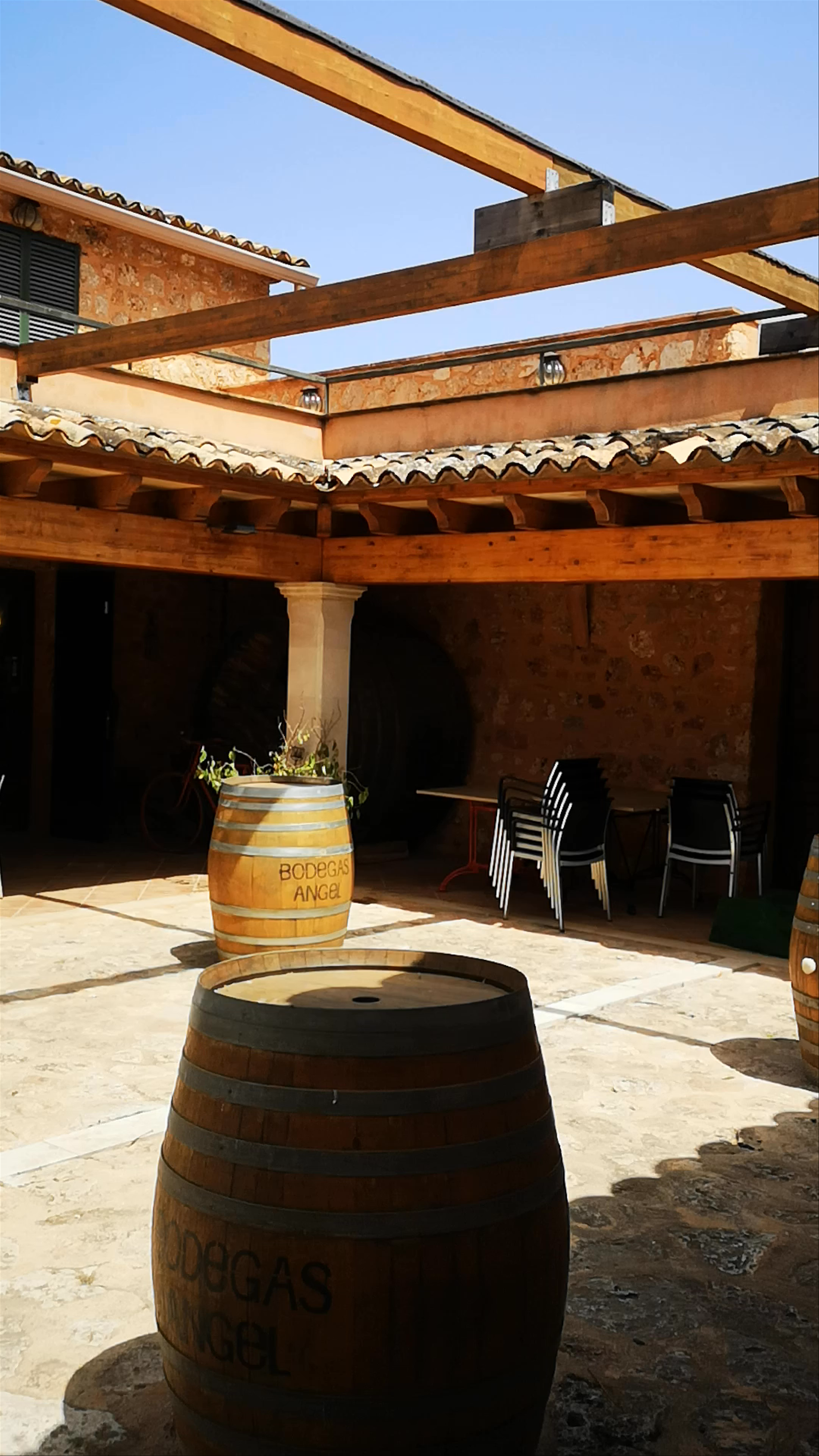Bodegas Angel