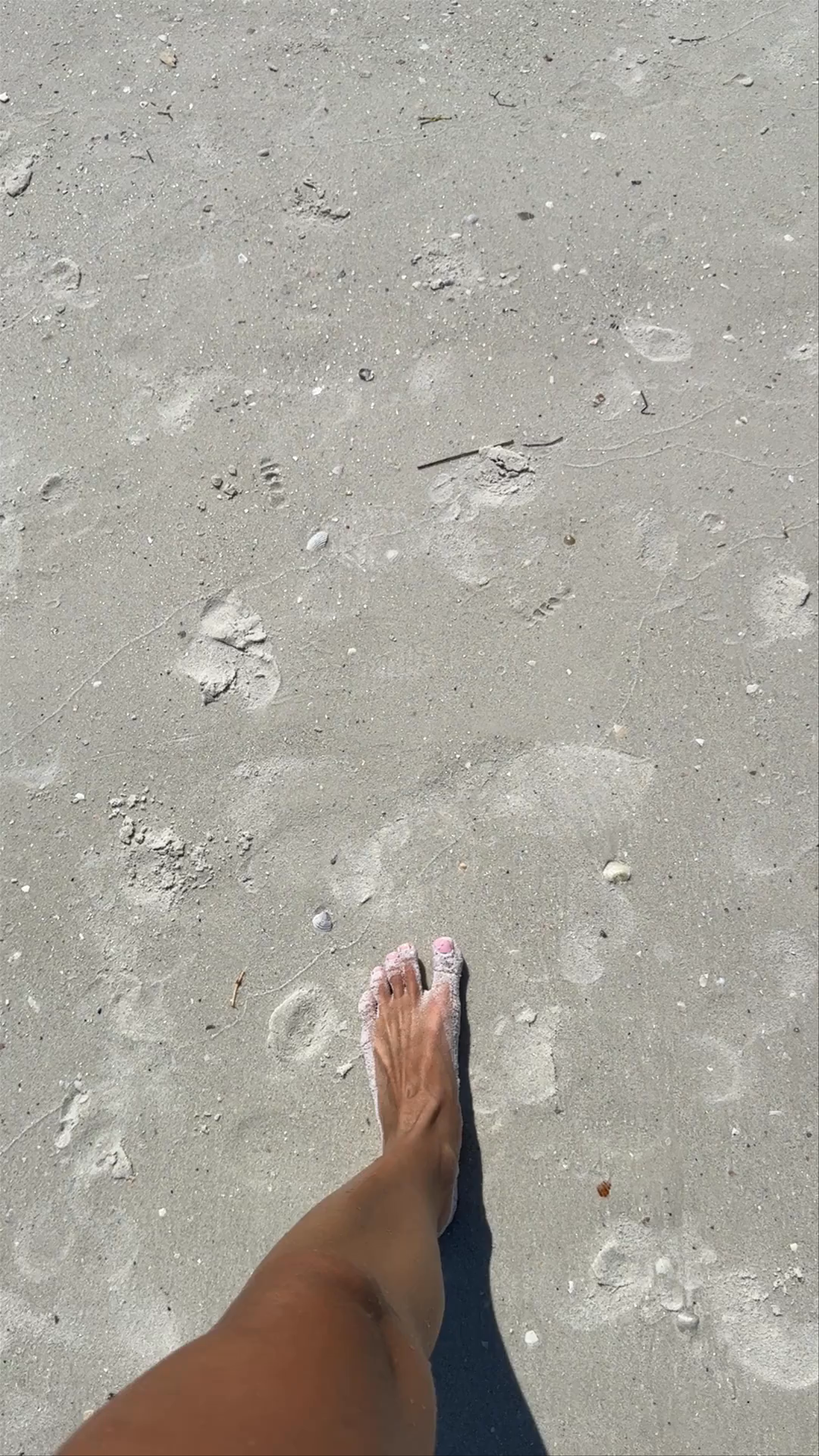 Clearwater Beach Bliss: Sun, Sand & Serene Waters in Longboat Key, Florida