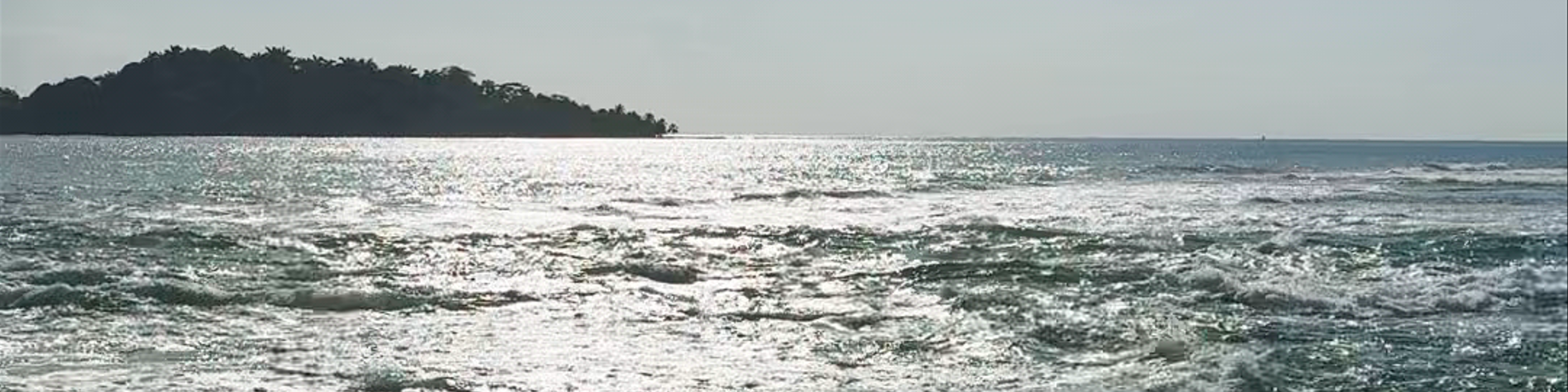 Limón