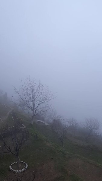 Photo of Nice weather, Nice P