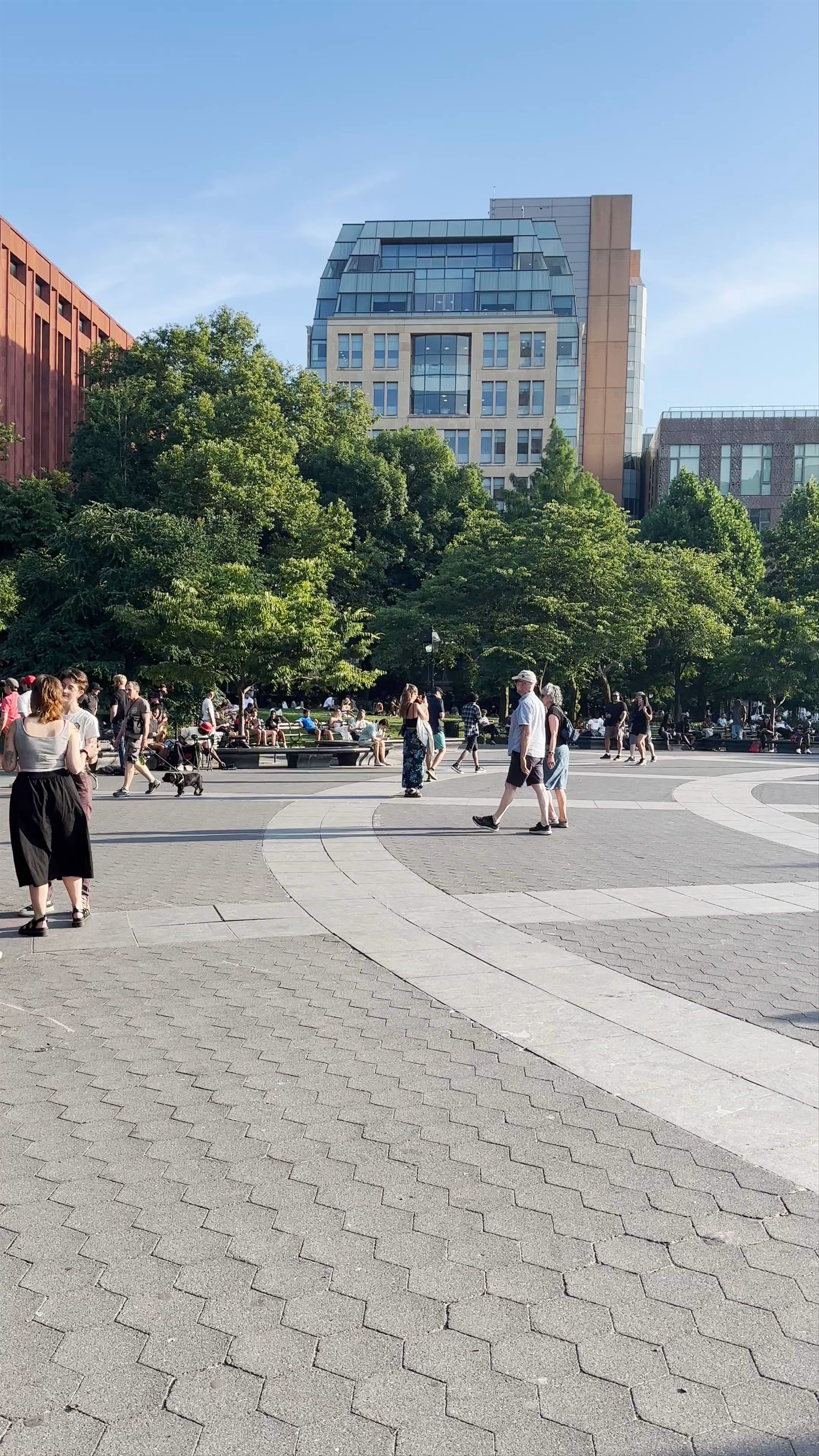 Washington Square Park: Vibrant Urban Oasis in New York City