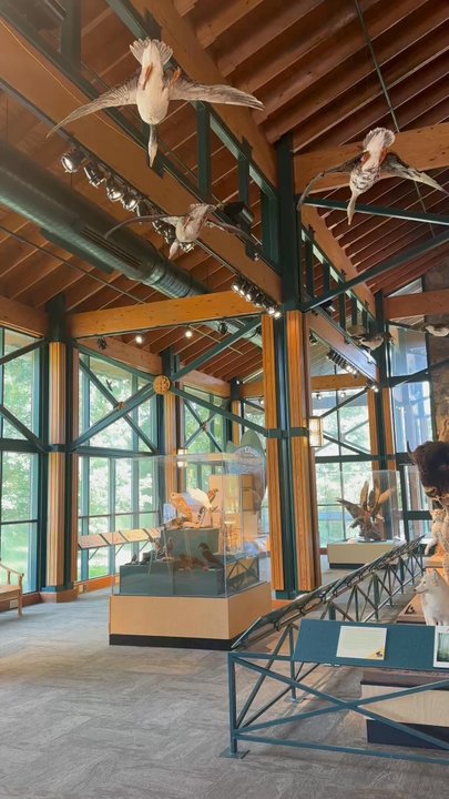 Lichterman Nature Center - Museums Near Me - Memphis, Tennessee