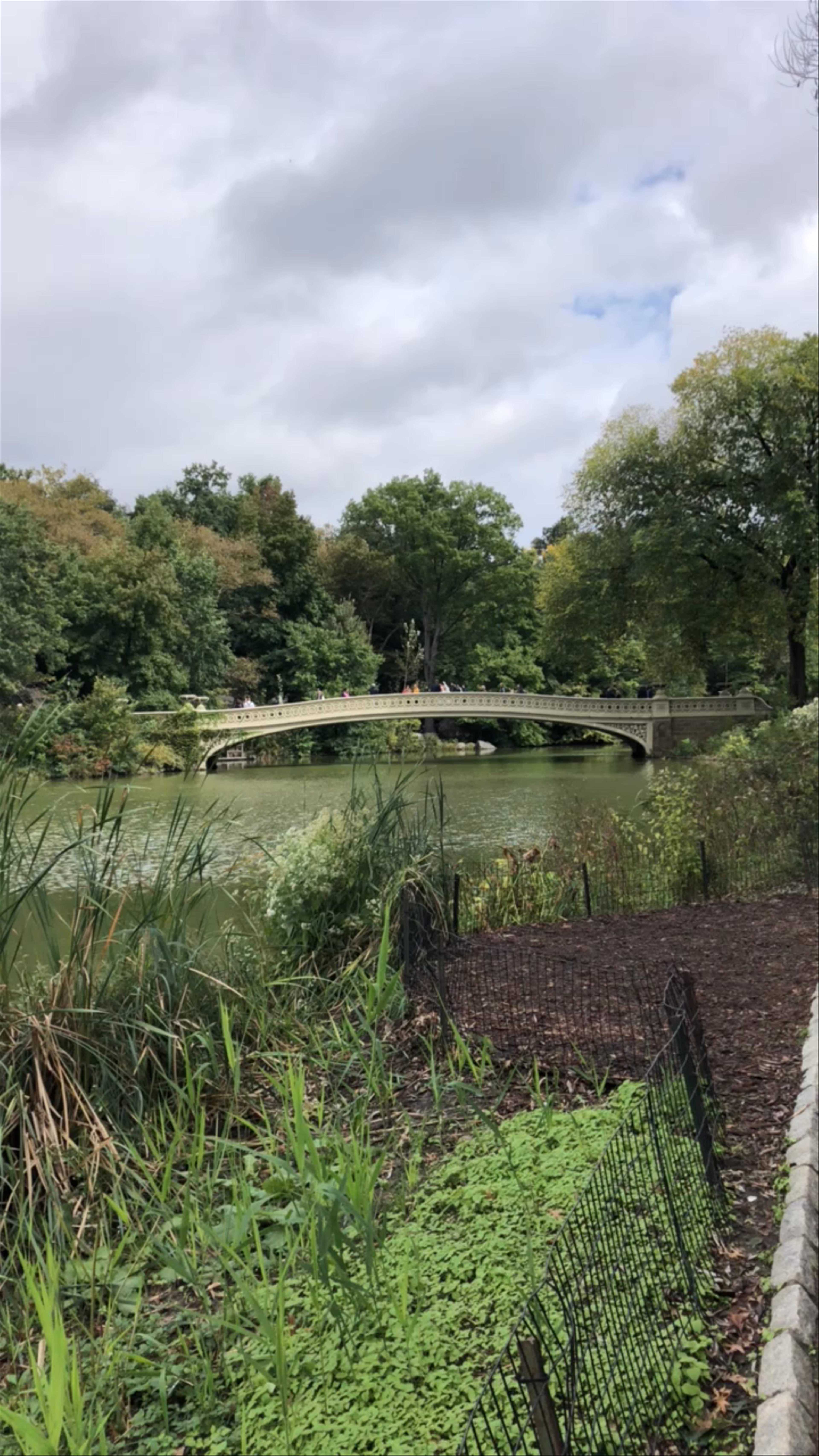 Serene Walk Along Bow Bridge in Central Park, New York