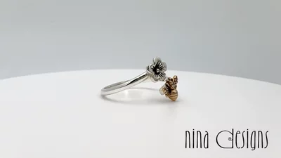 Preview image for video