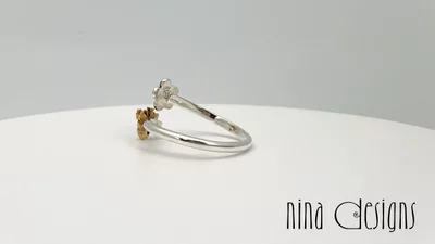 Preview image for video