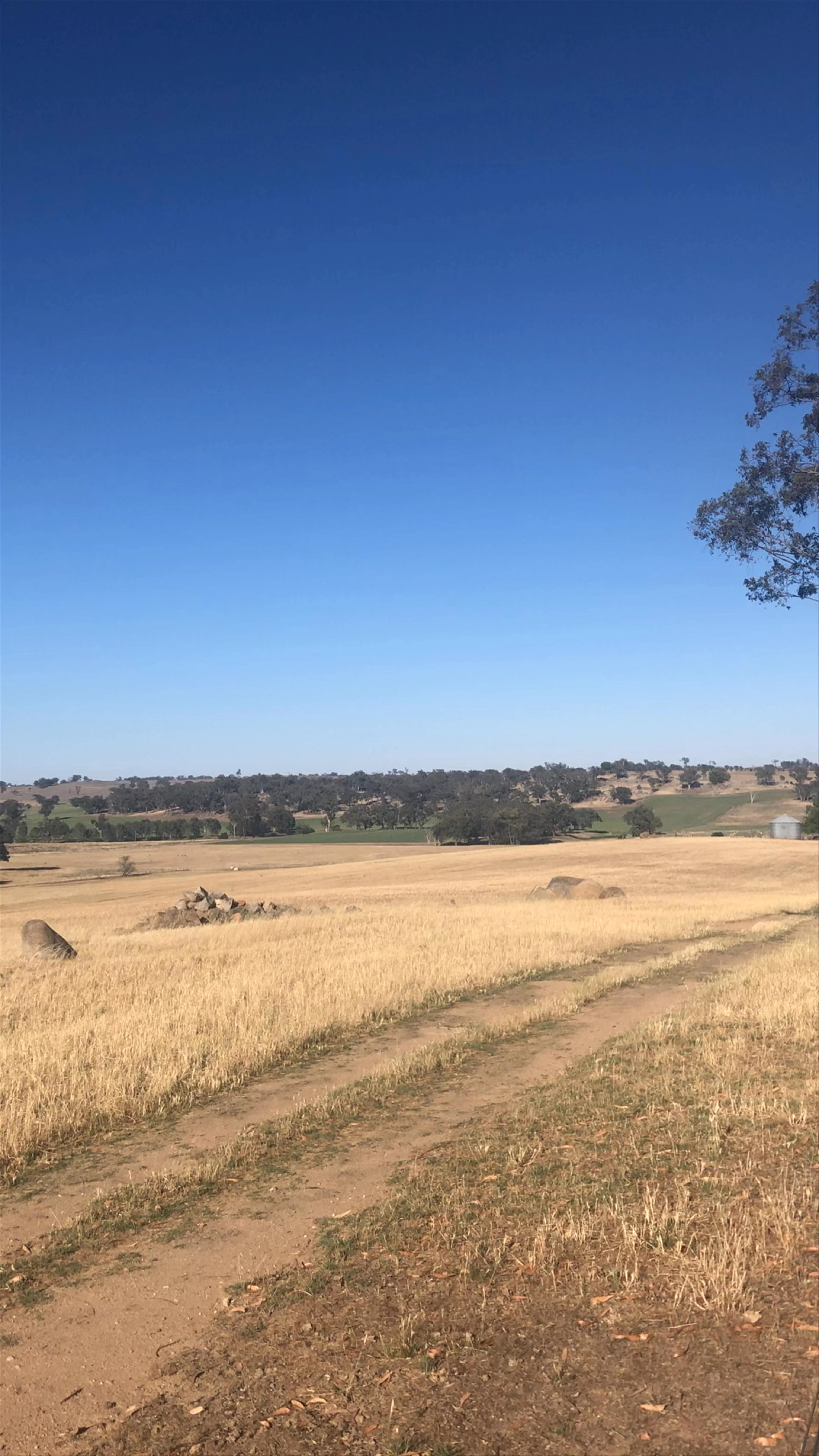 Bulla Creek