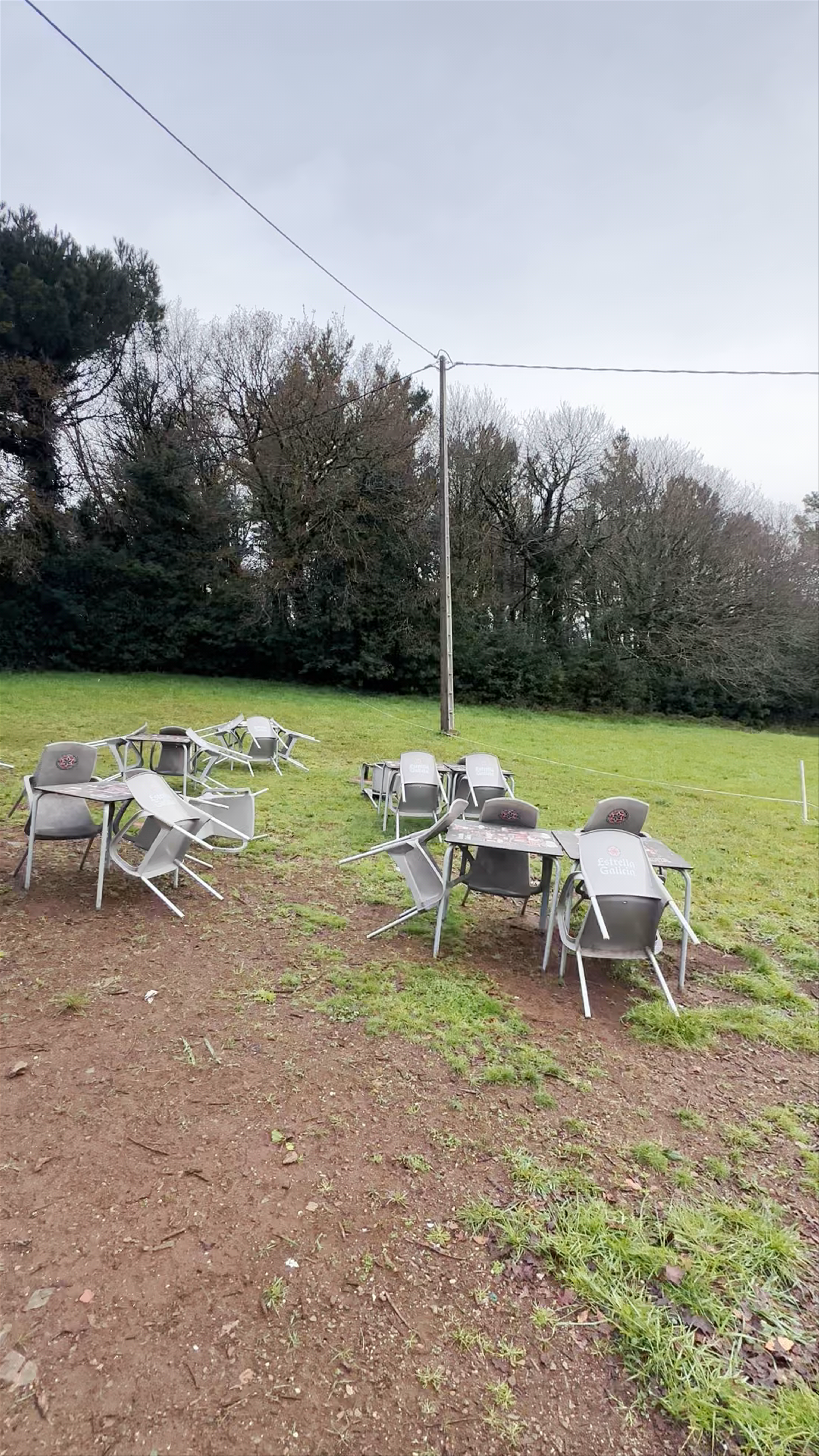 Campanilla Café-Bar