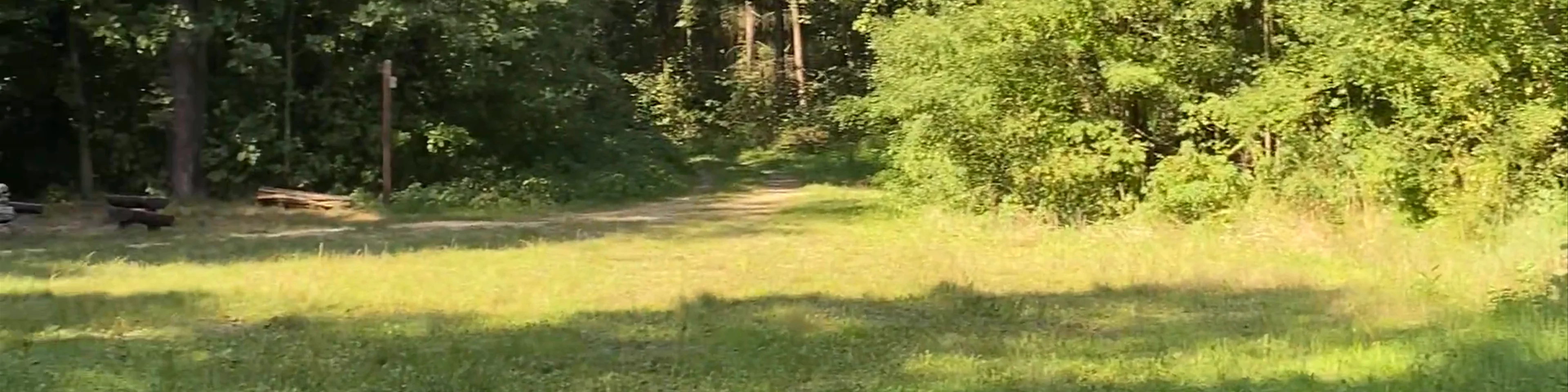 Ścieżka przyrodnicza "Spławy"