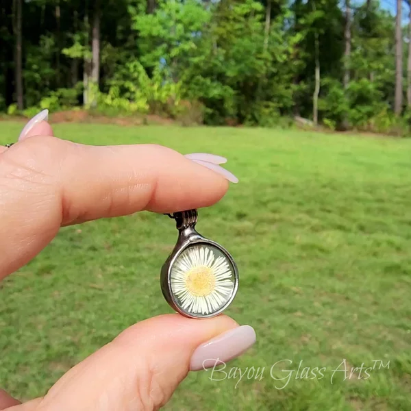 Preview image for video
