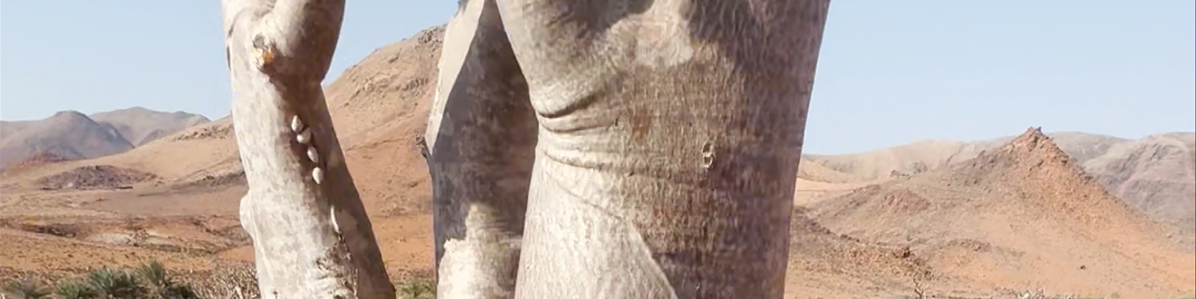 منطقة كداح، Mori