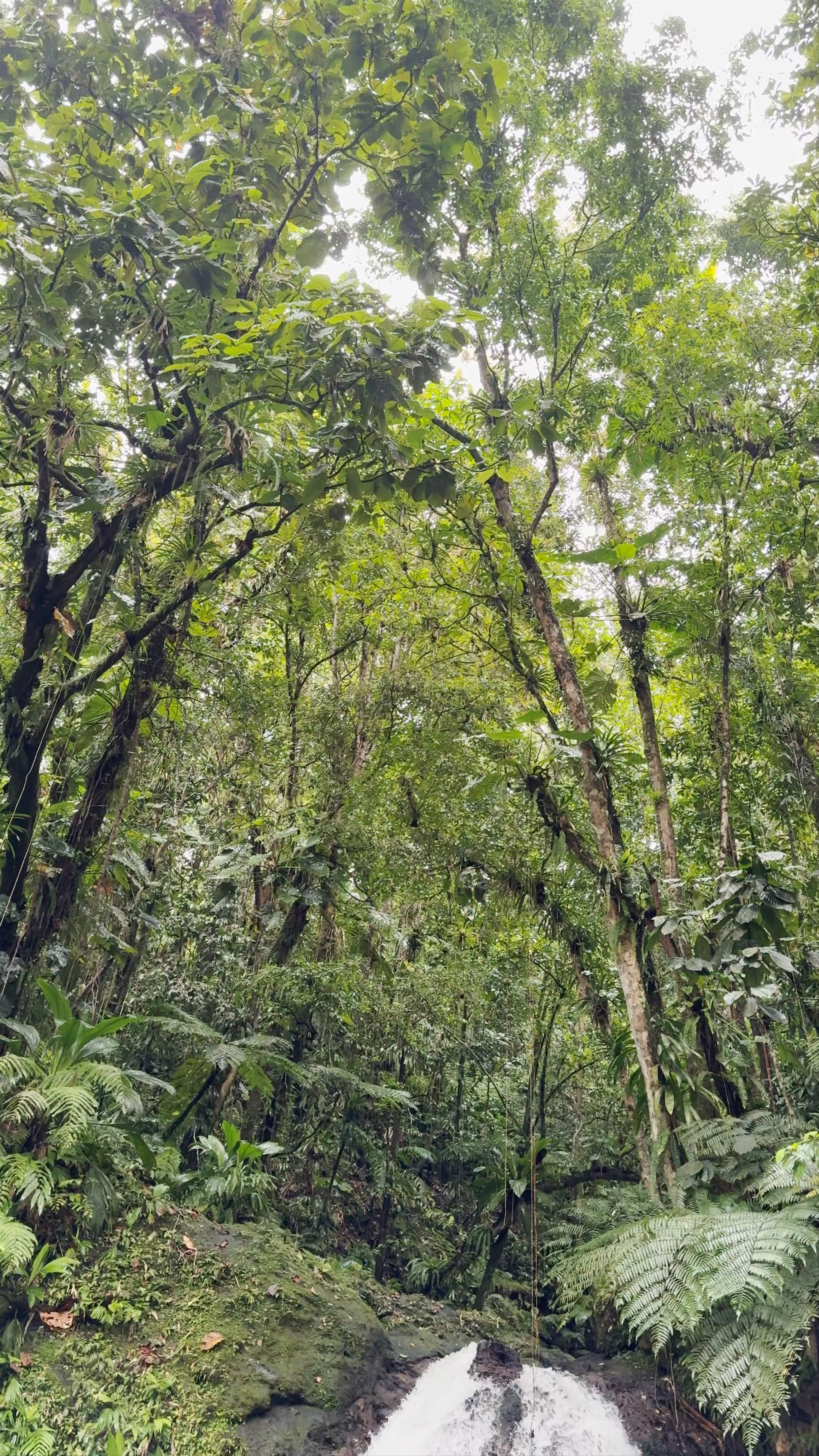 Cascade aux Ecrevisses